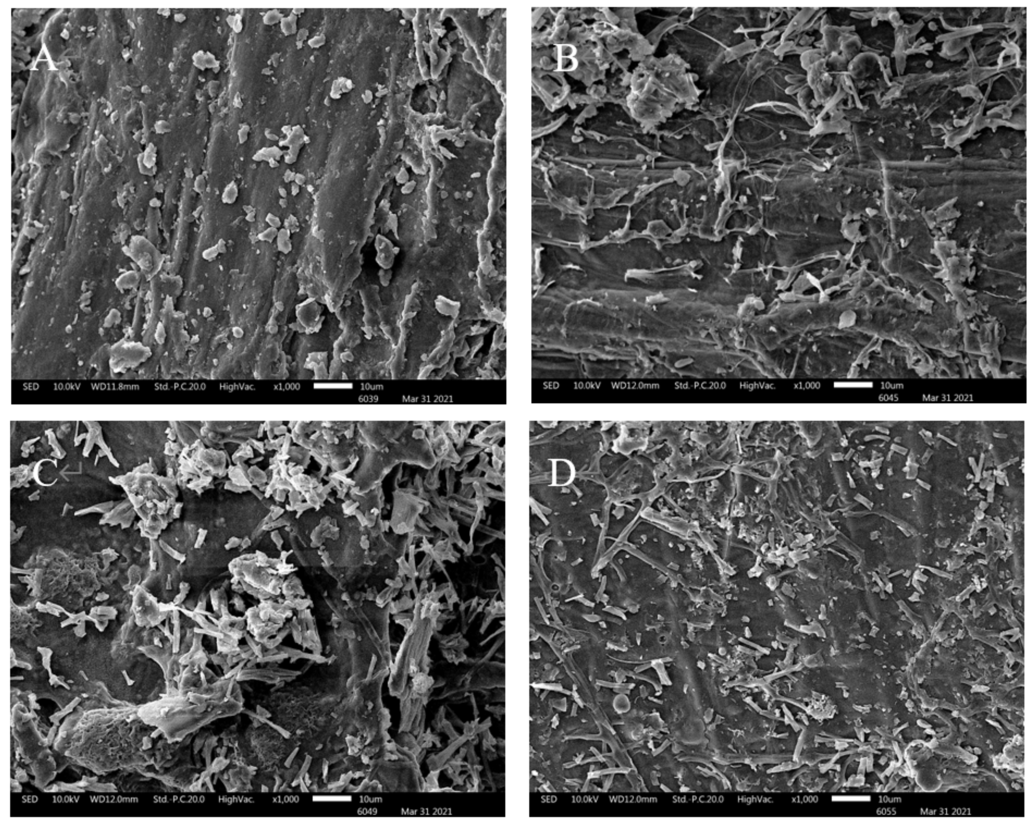 Foods 11 01722 g003 550