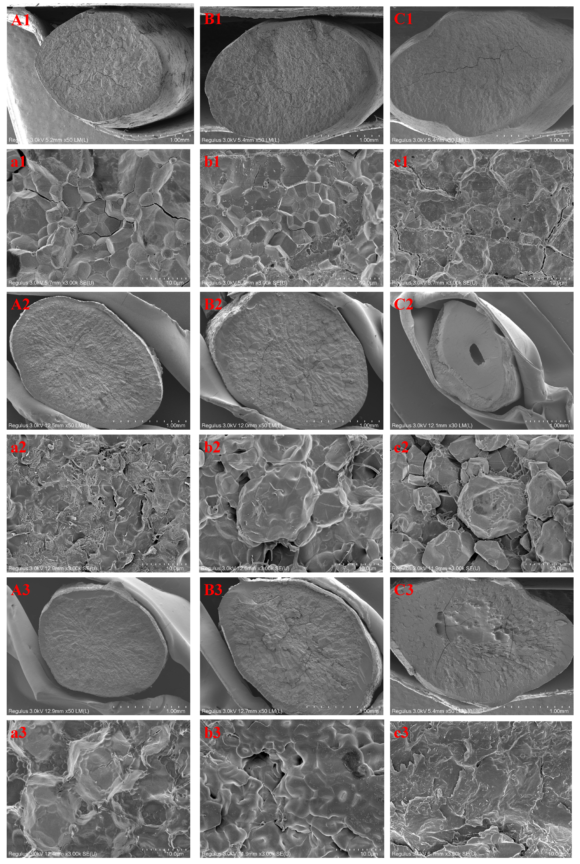 Foods 11 01723 g002a 550