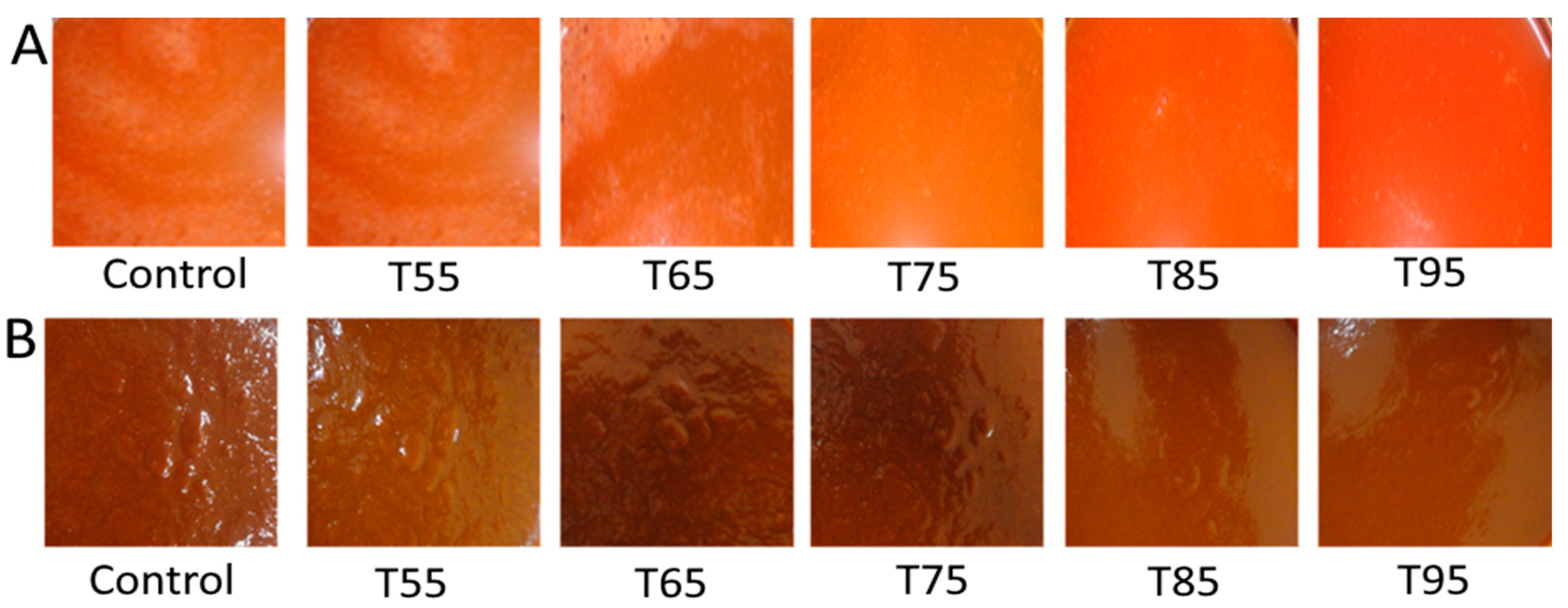 Foods 11 01730 g003 Foods 11 01730 g003