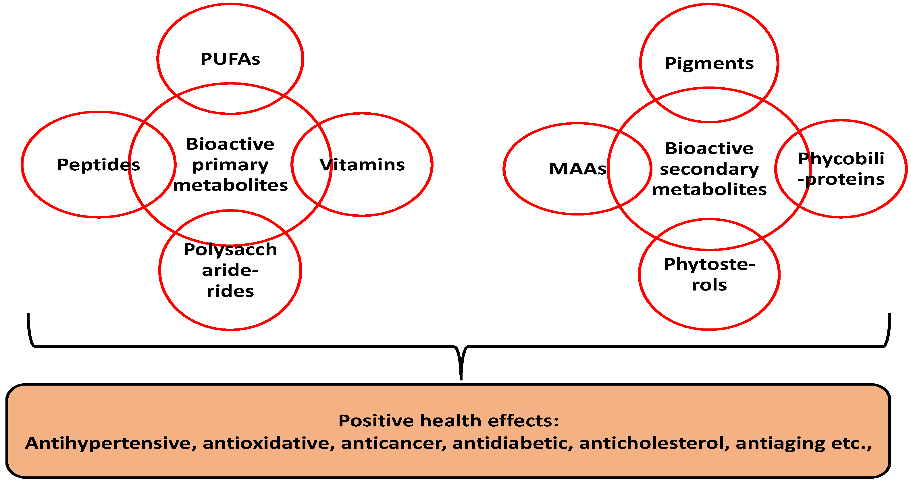 Foods 11 01744 g001 550