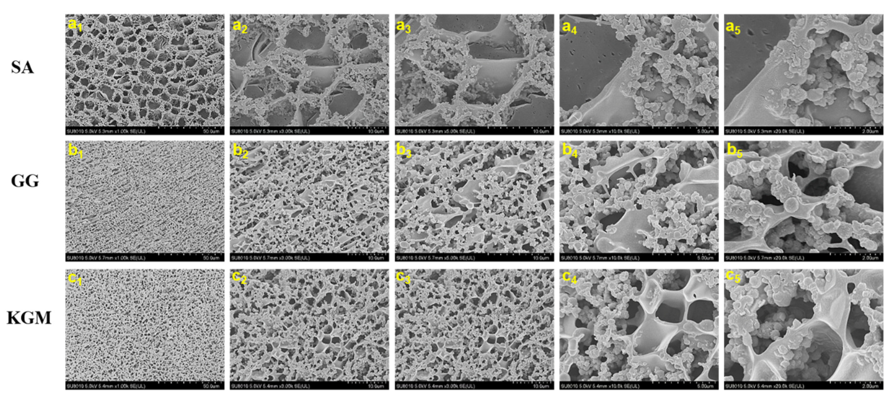 Foods 11 01764 g005 550