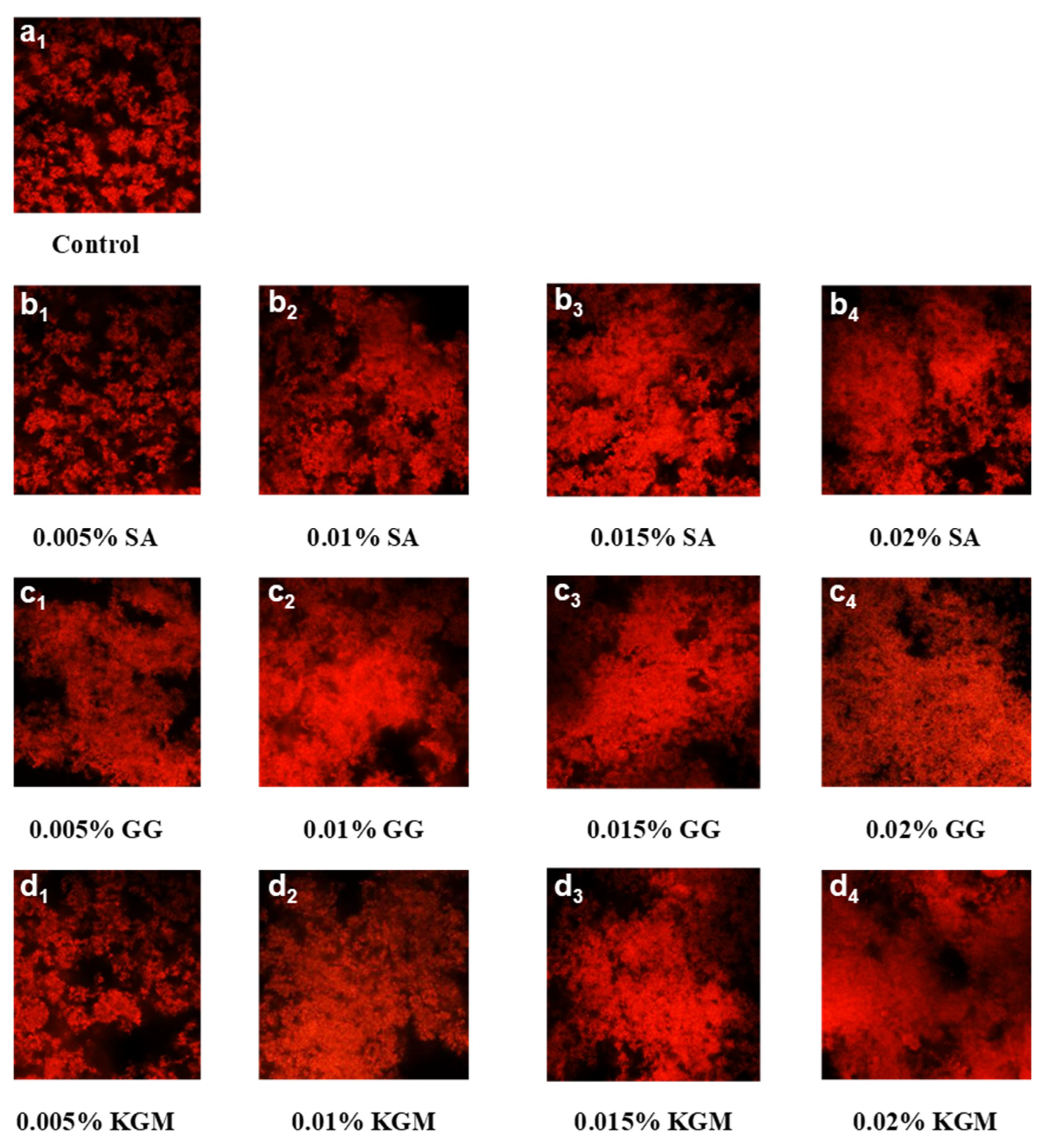 Foods 11 01764 g006 550