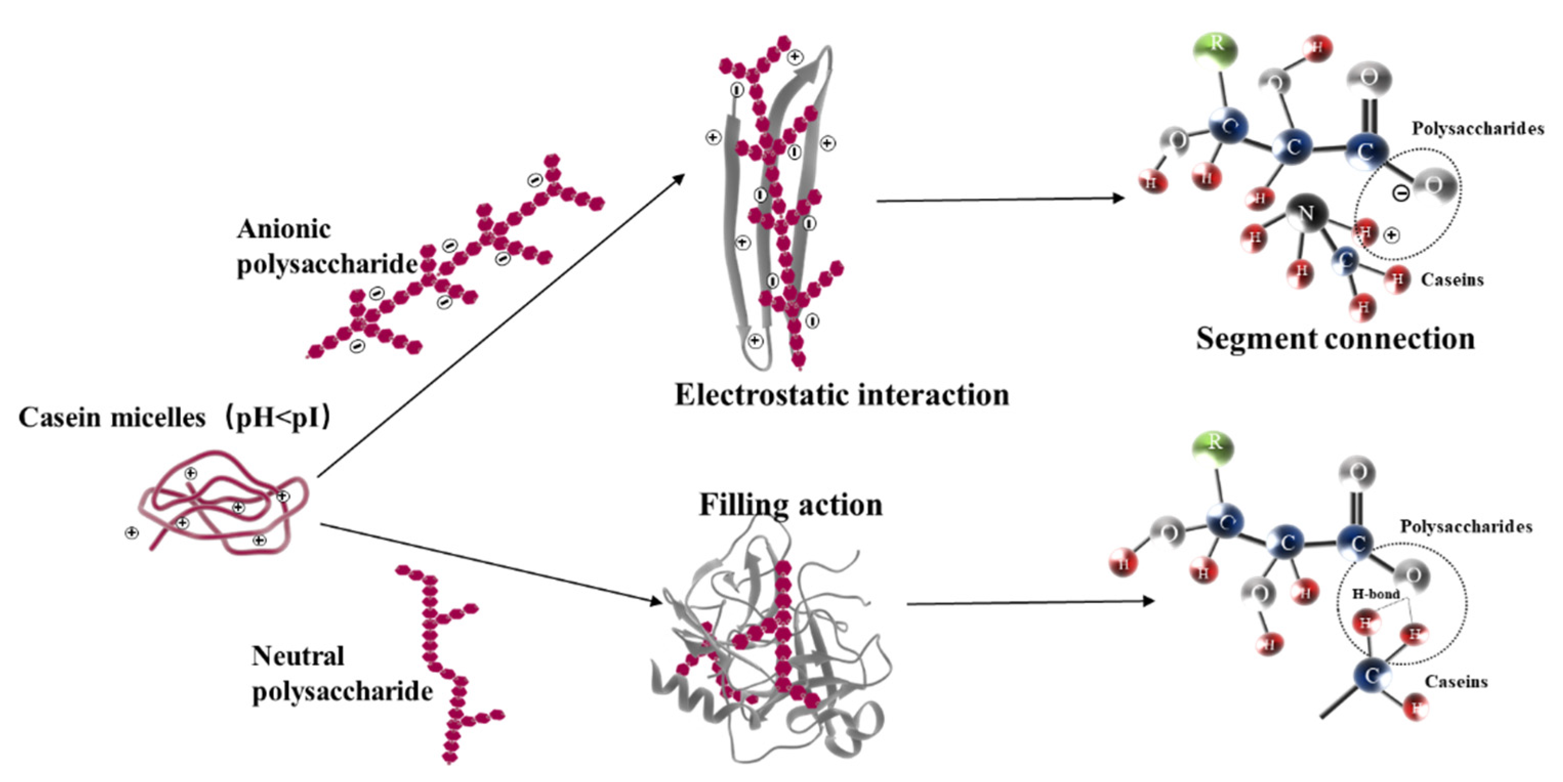 Foods 11 01764 g007 550
