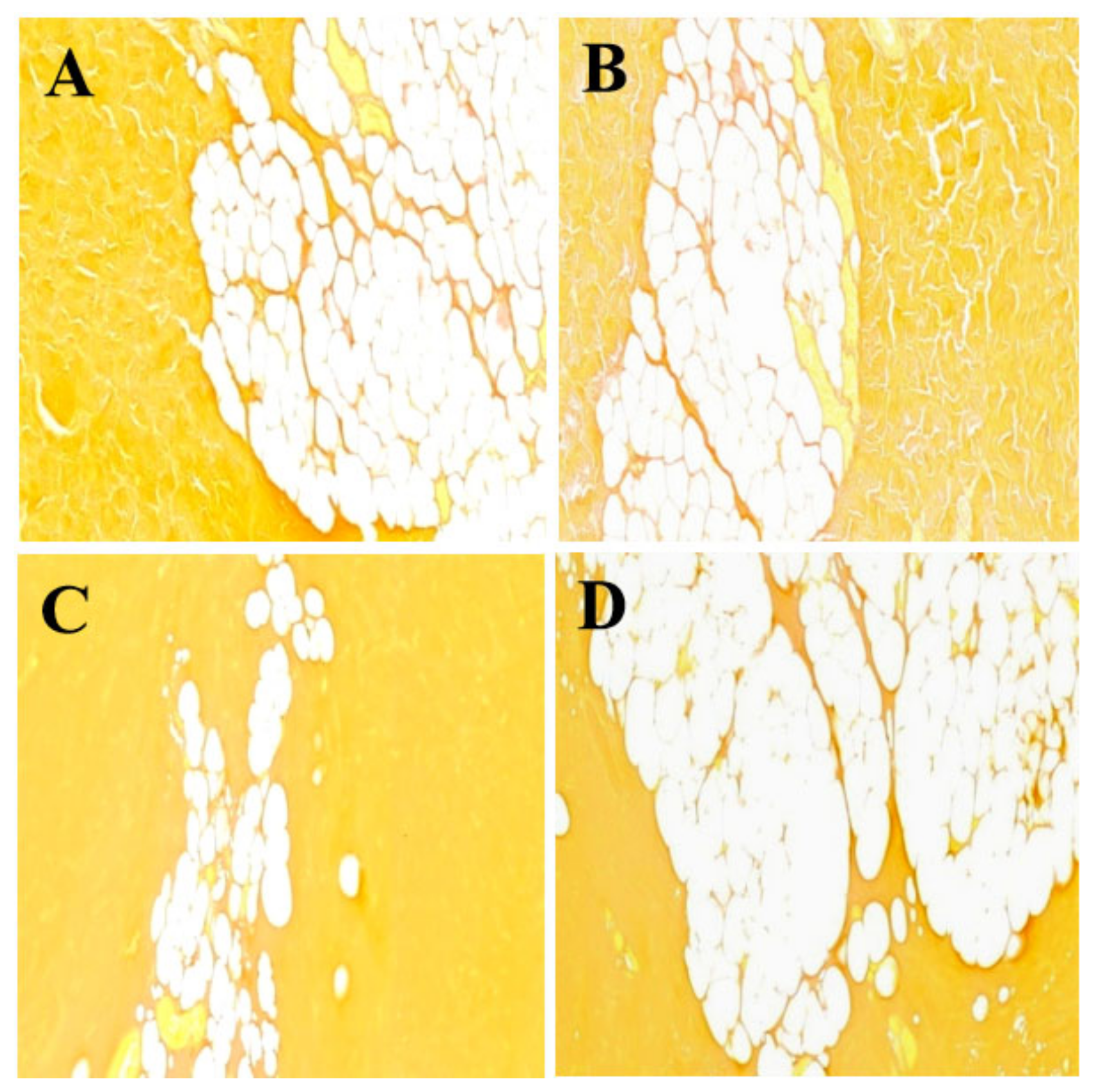 Foods 11 01772 g002 Foods 11 01772 g002