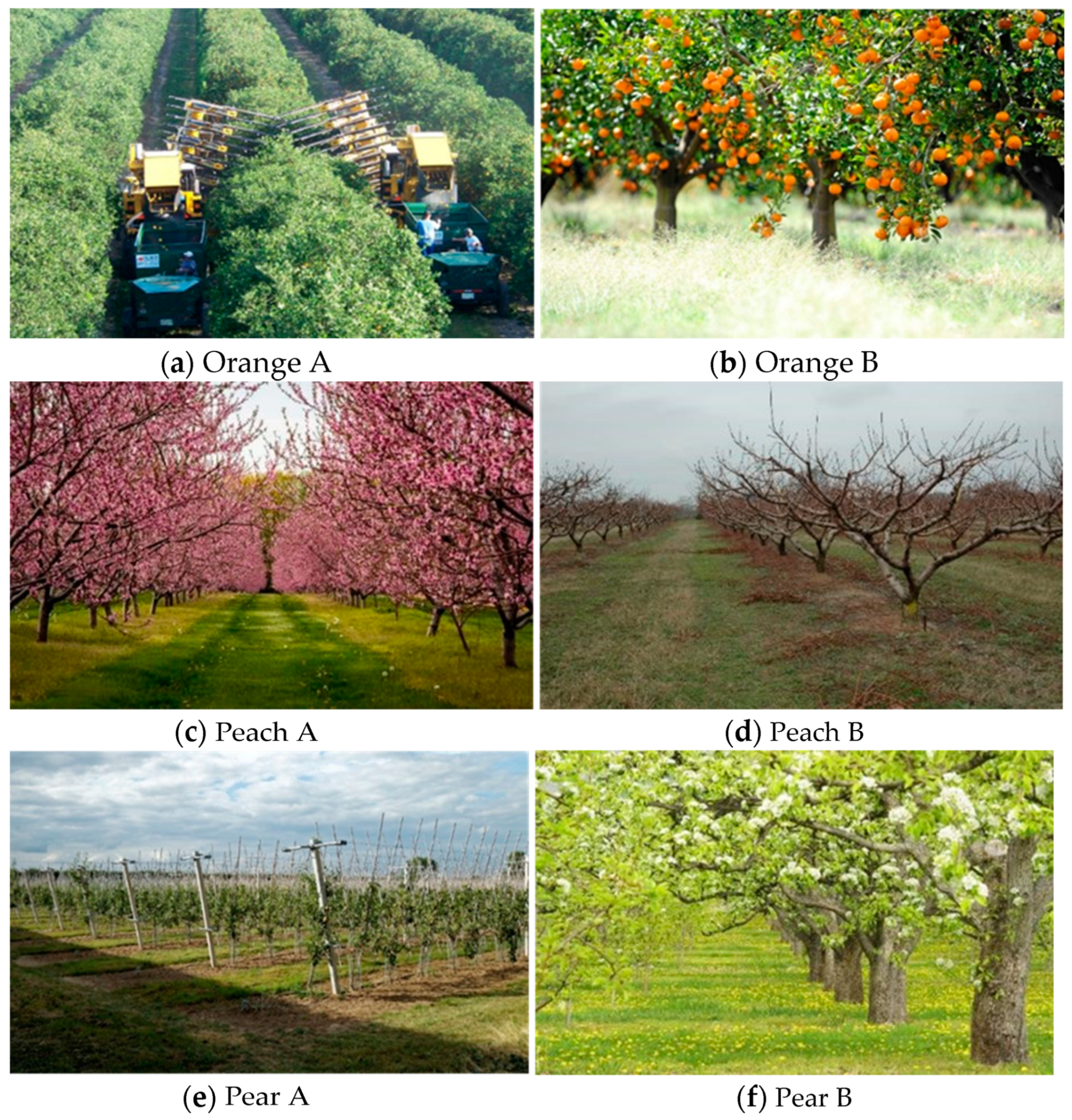 Foods 11 01779 g001 550