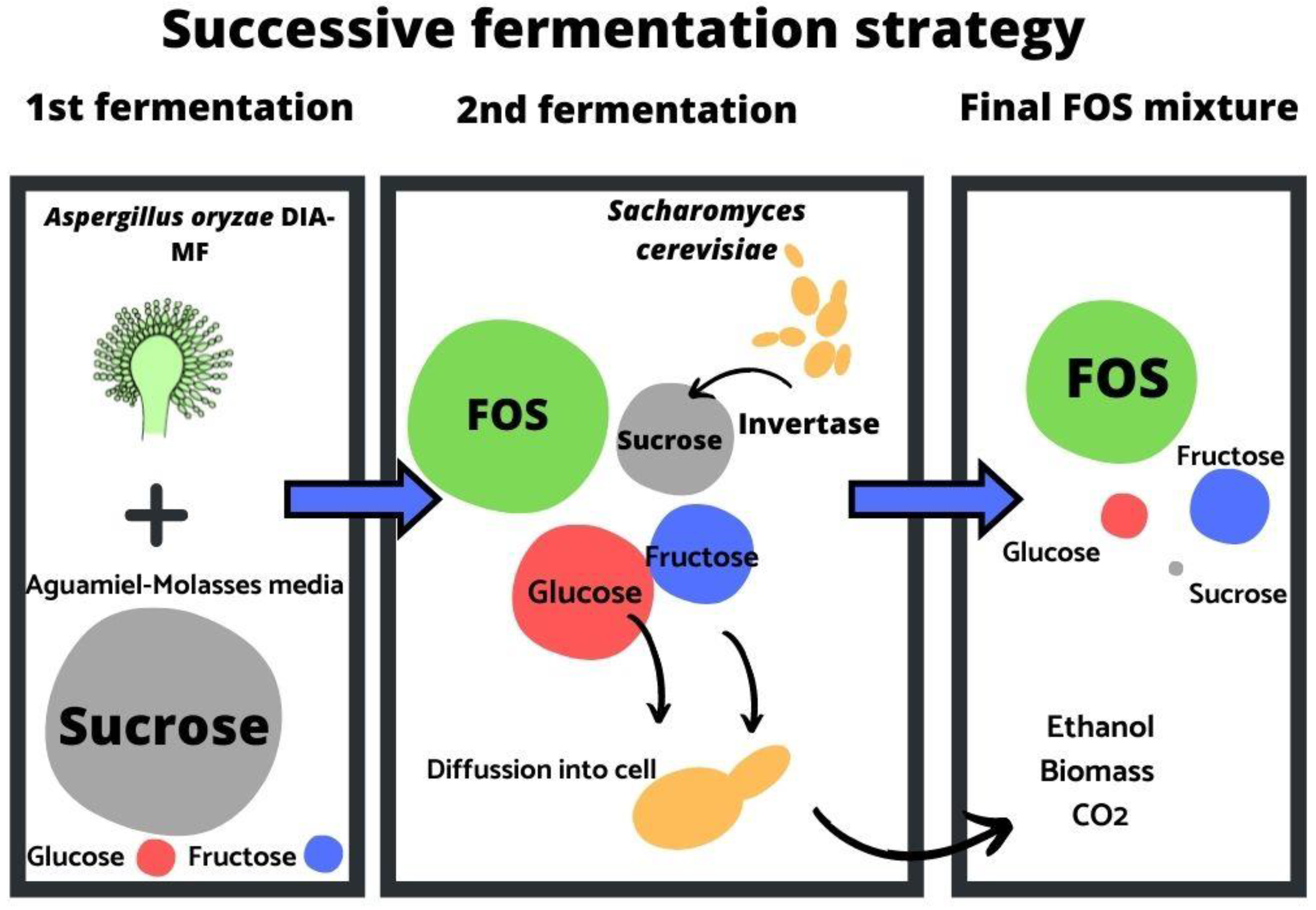 Foods 11 01786 g006 Foods 11 01786 g006