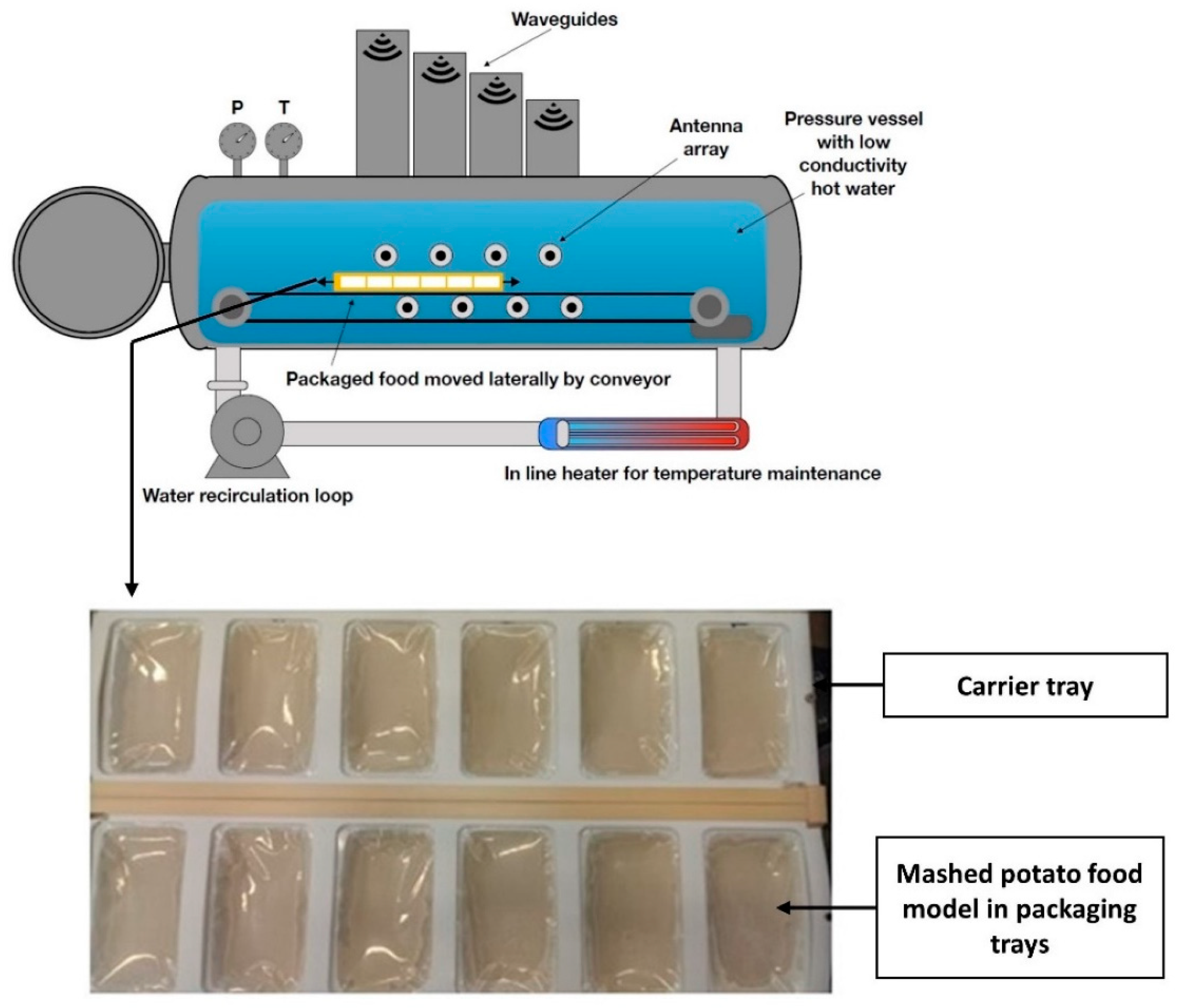 Foods 11 01811 g003 Foods 11 01811 g003