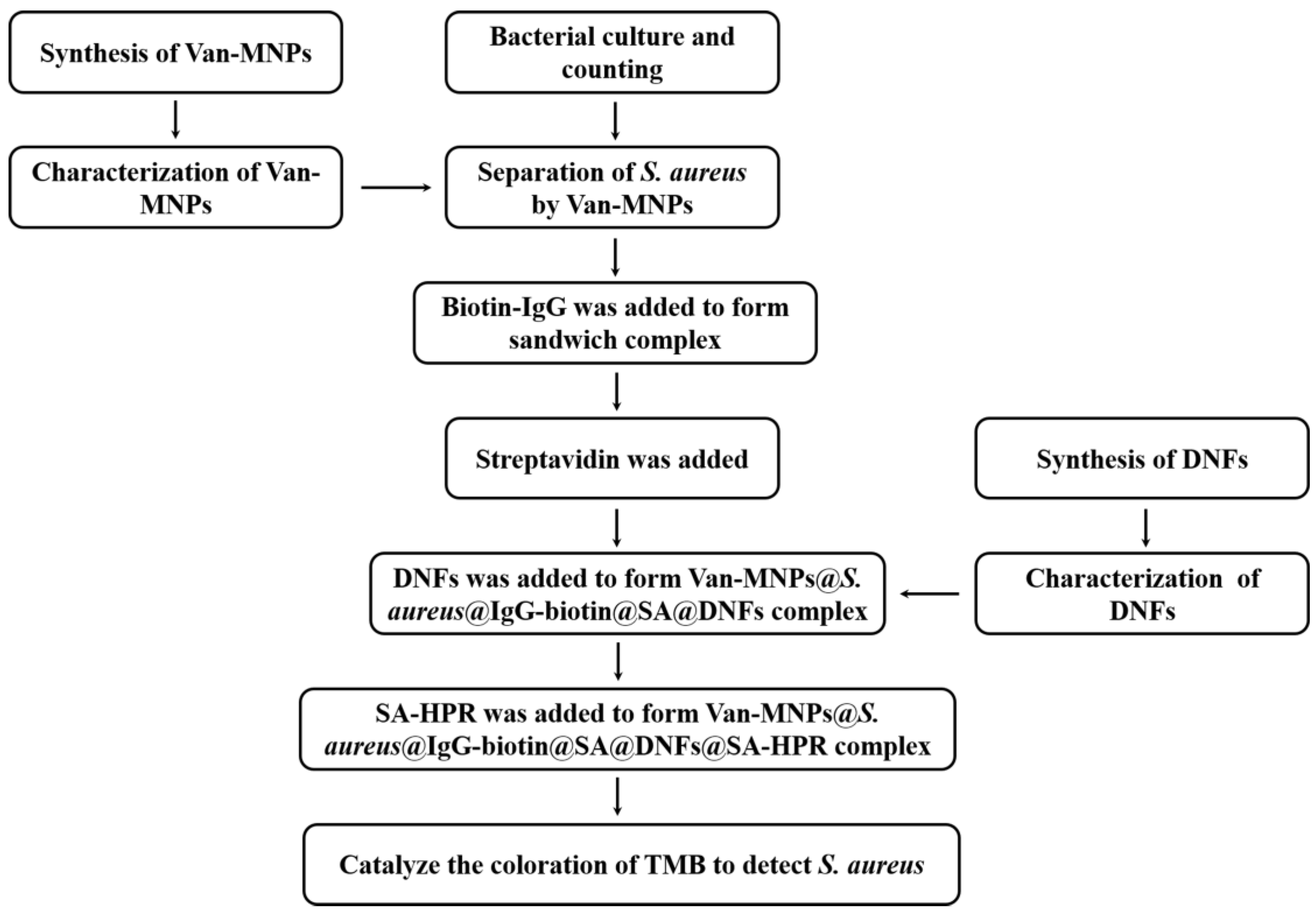 Foods 11 01852 g001 550