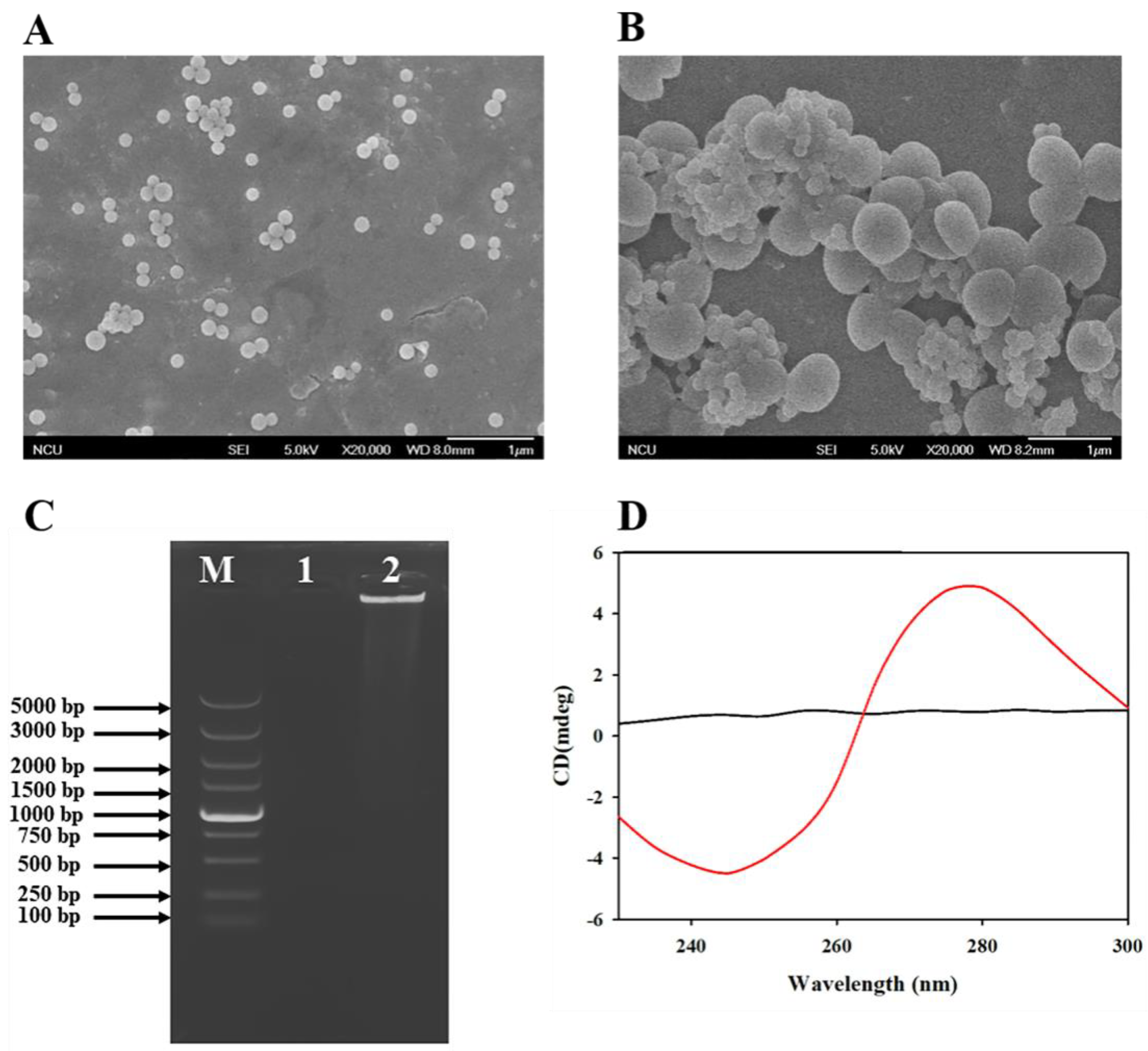 Foods 11 01852 g002 550