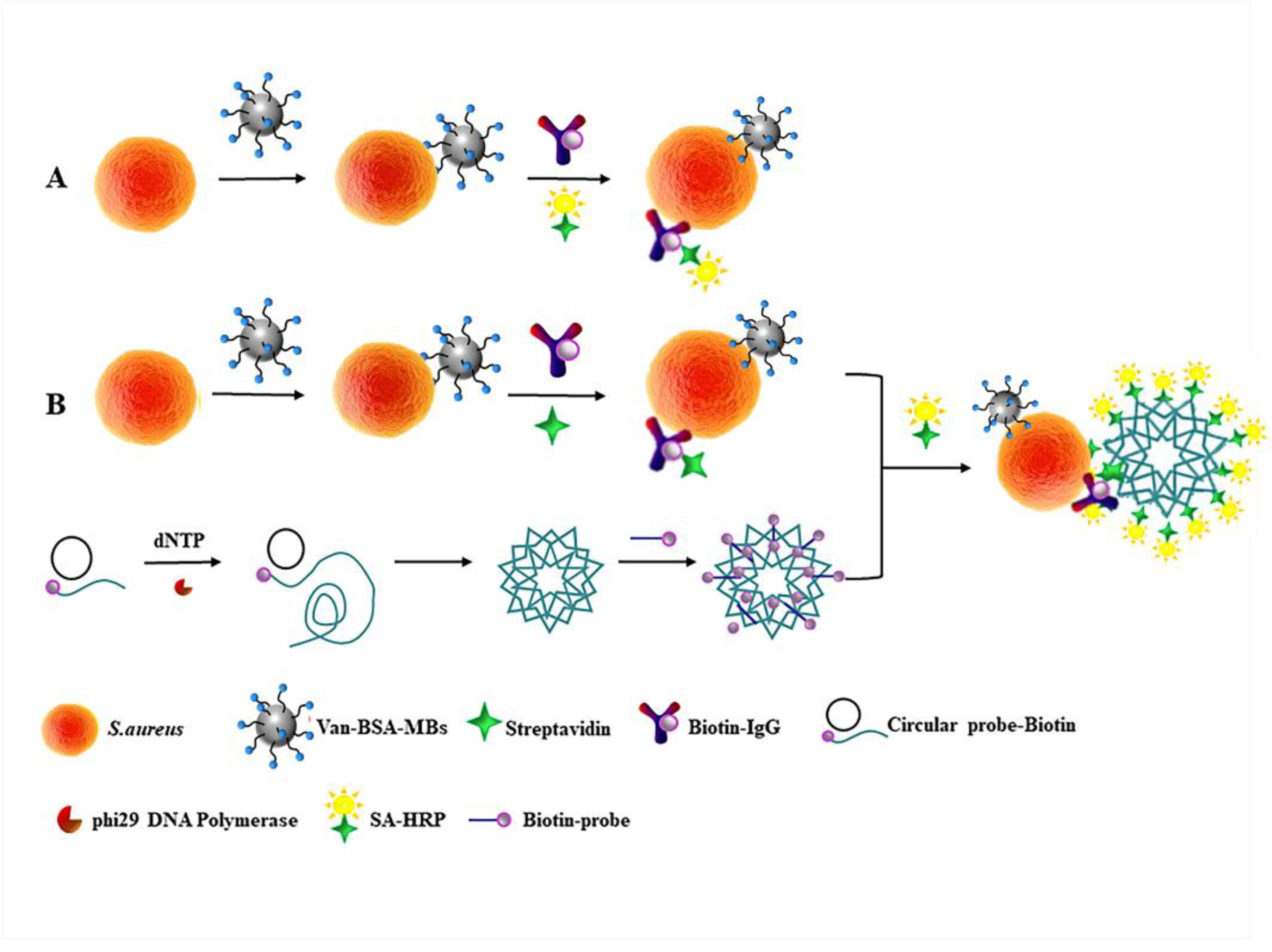 Foods 11 01852 sch001 550