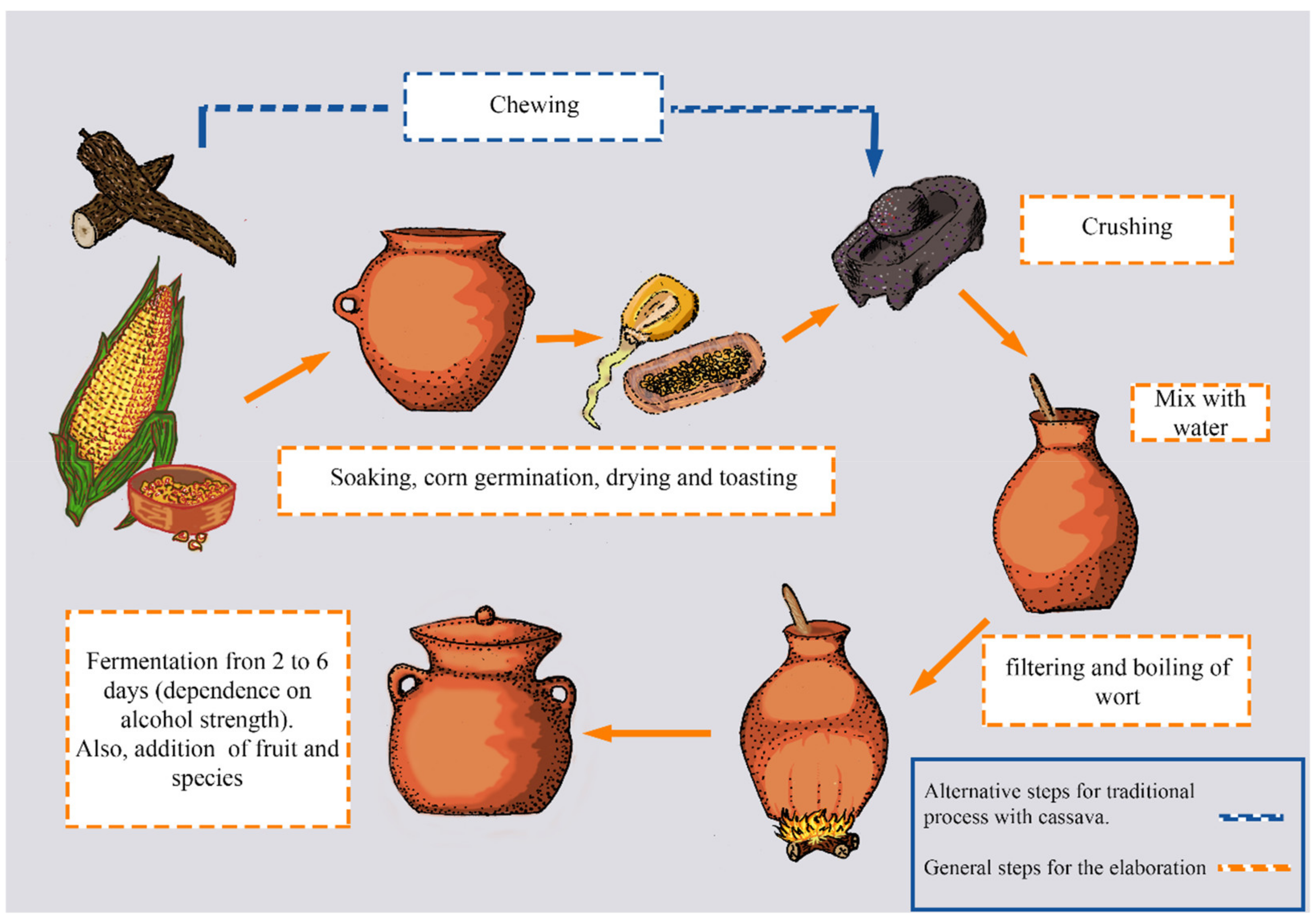 Foods 11 01854 g001 550