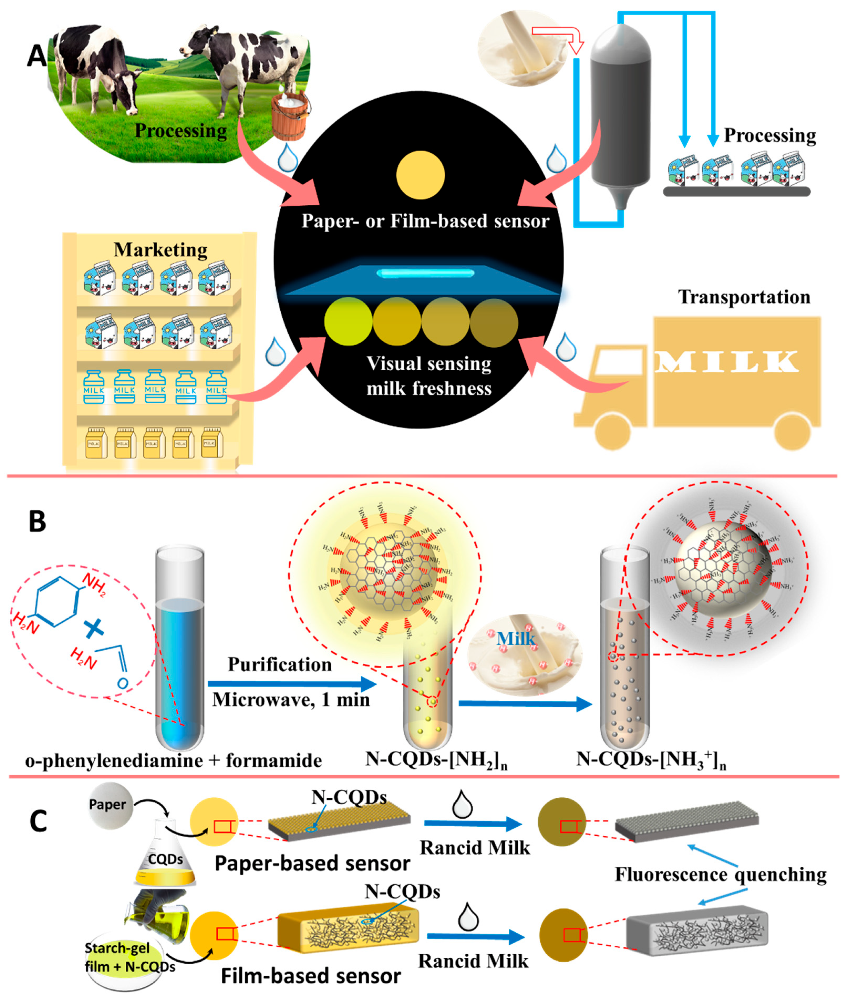 Foods 11 01855 g001 550
