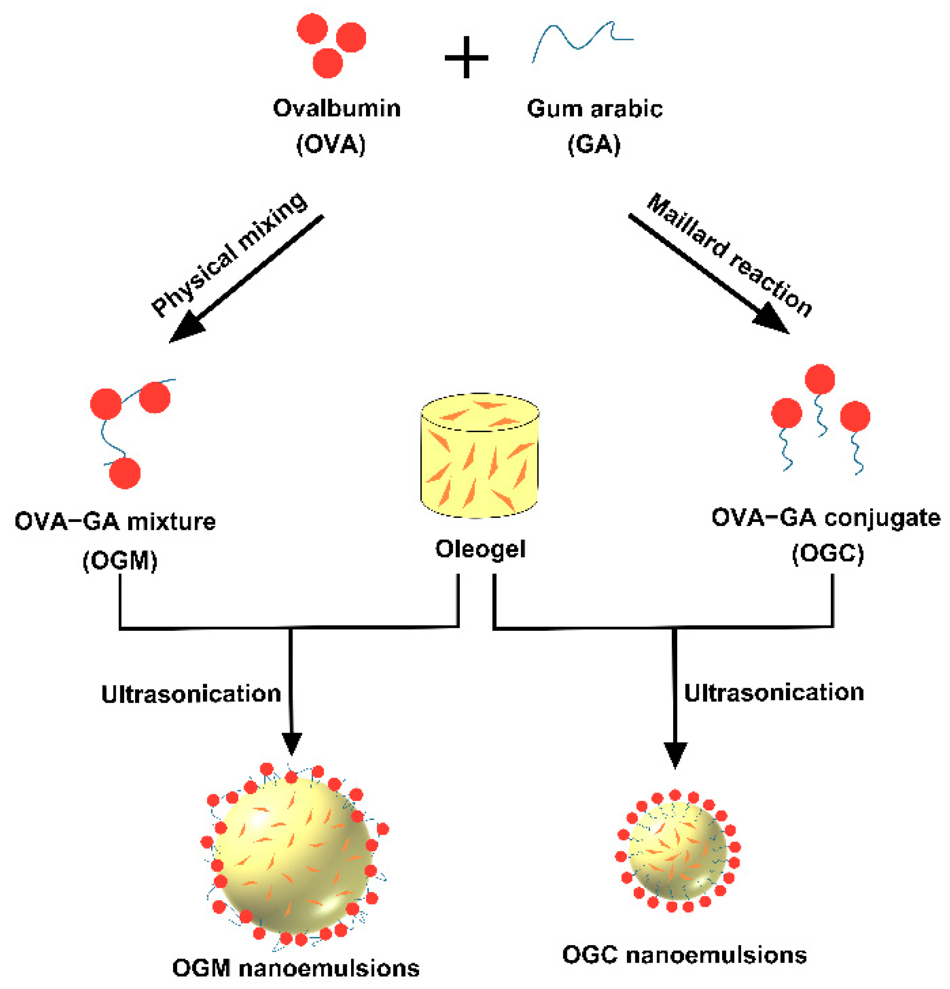 Foods 11 01859 g001 550