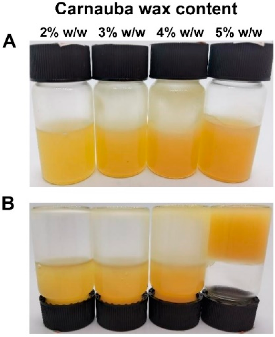 Foods 11 01859 g002 550