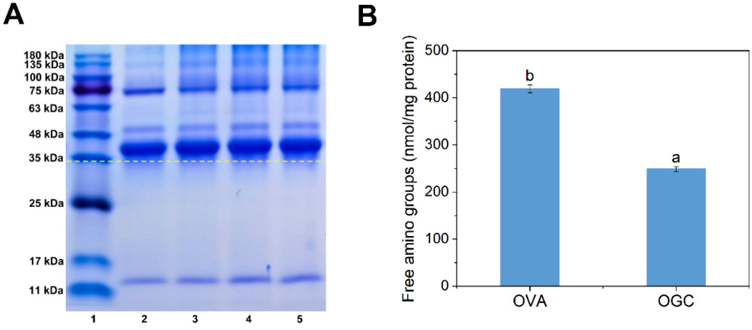 Foods 11 01859 g003 550