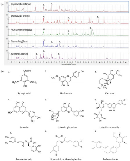 Potential Antioxidant and Antiviral Activities of Hydroethanolic
