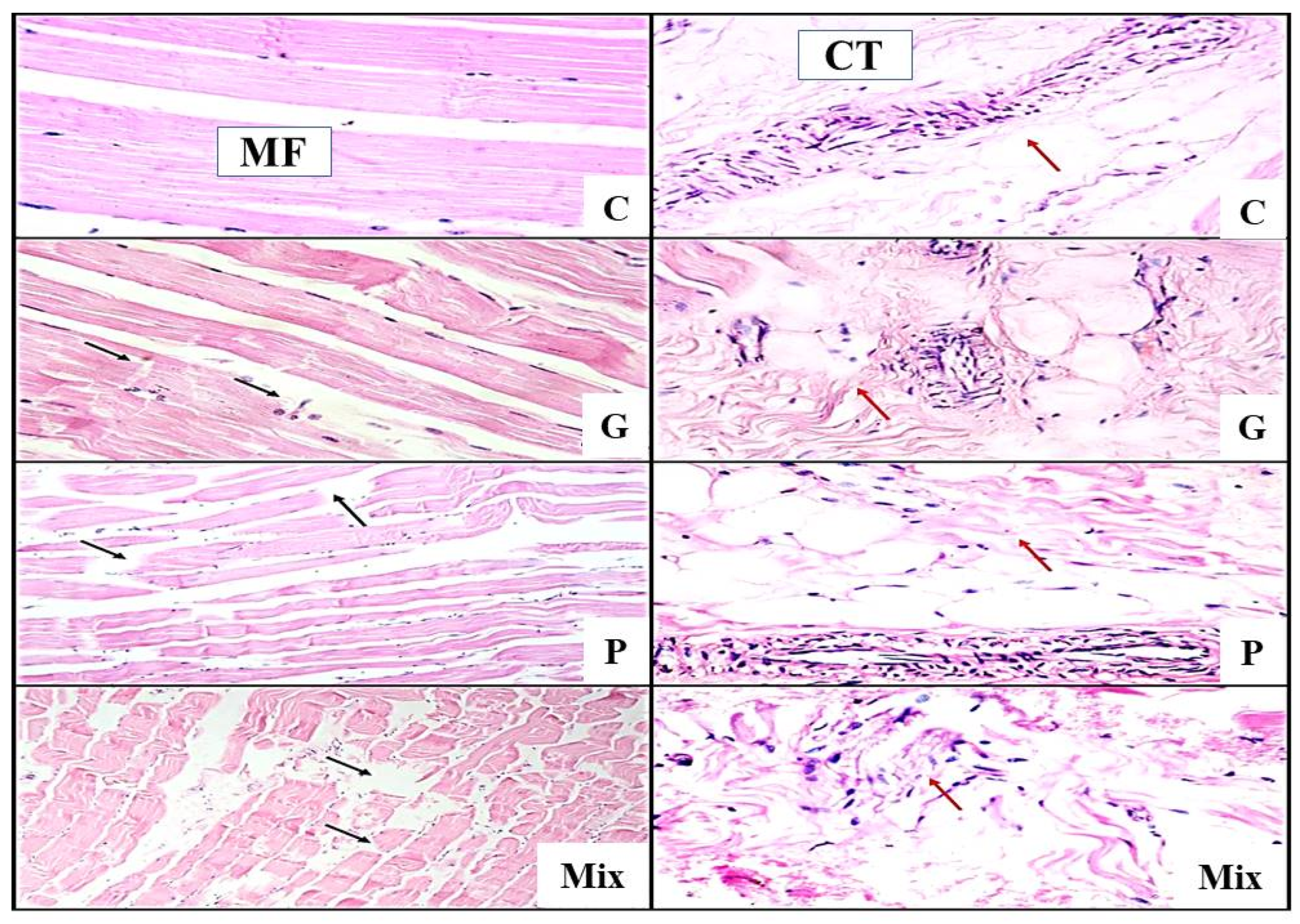 Foods 11 01876 g001 550