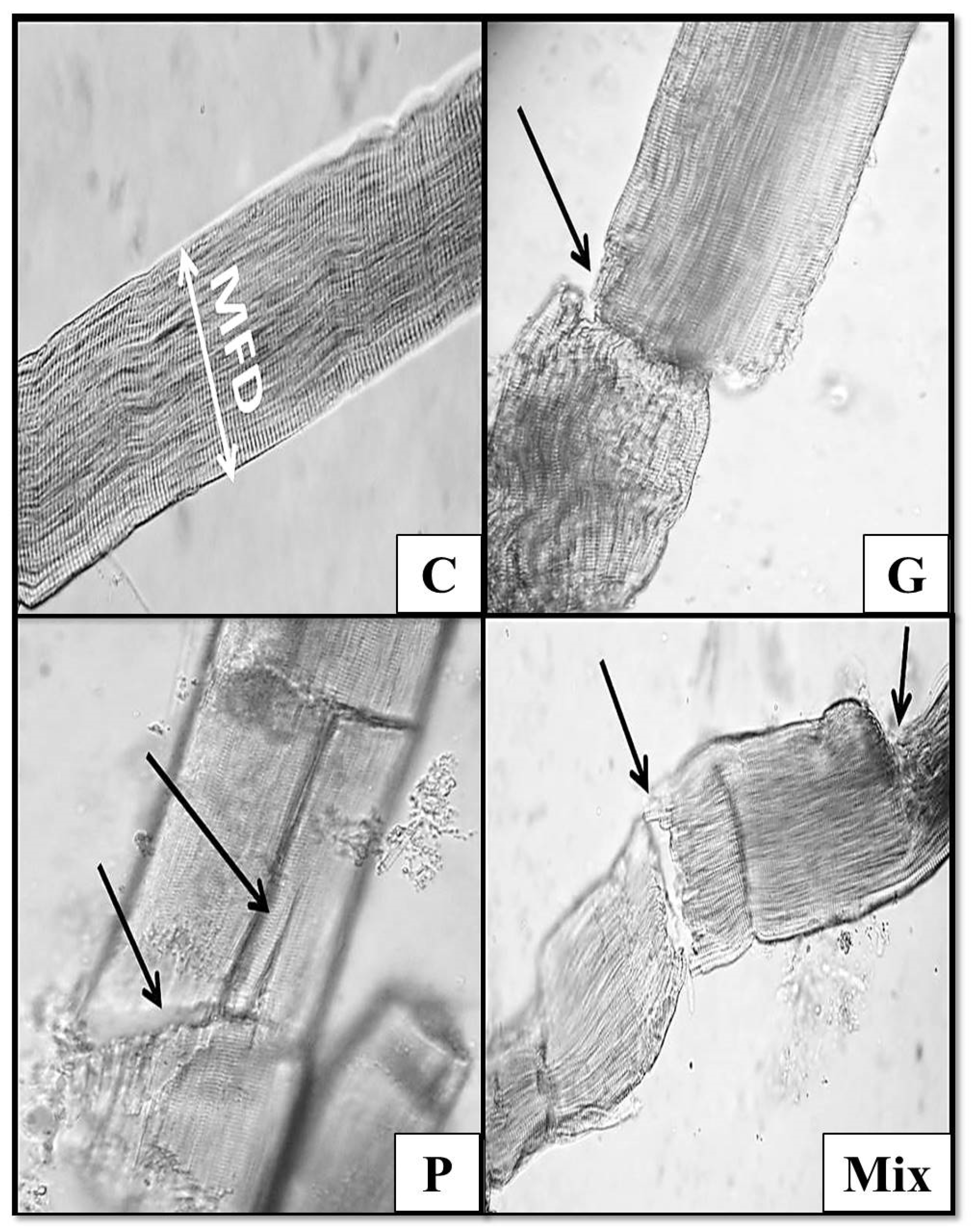 Foods 11 01876 g002 550
