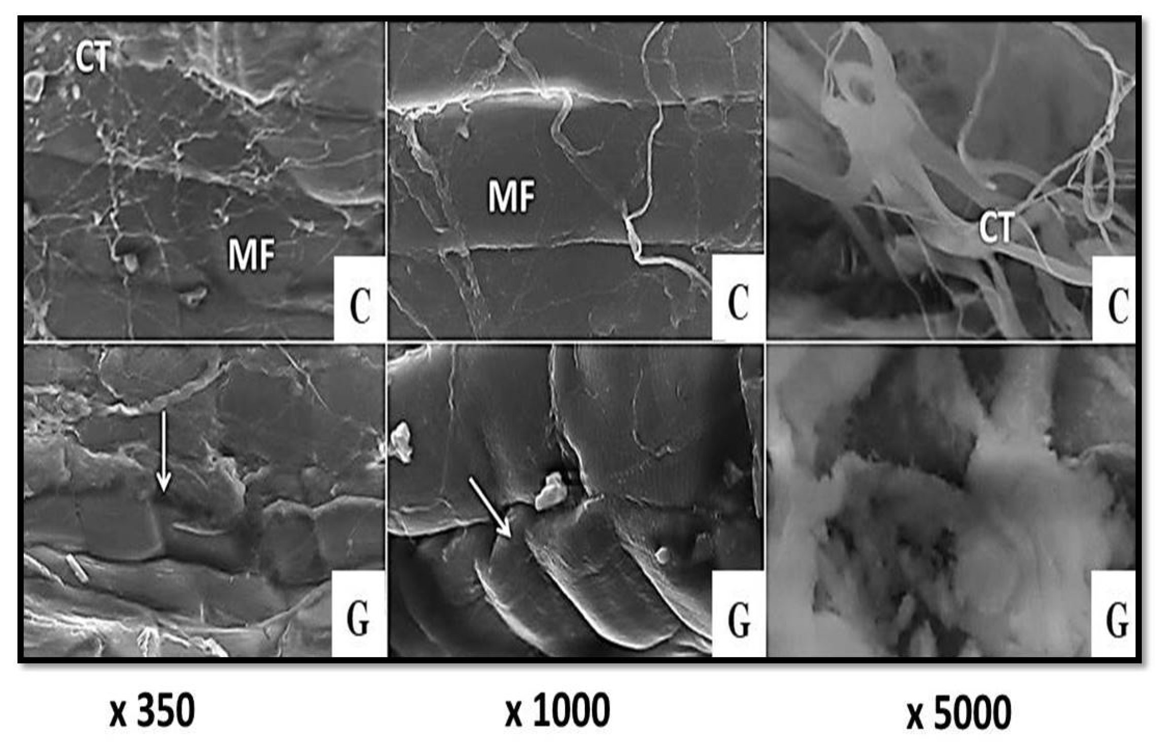 Foods 11 01876 g005 550