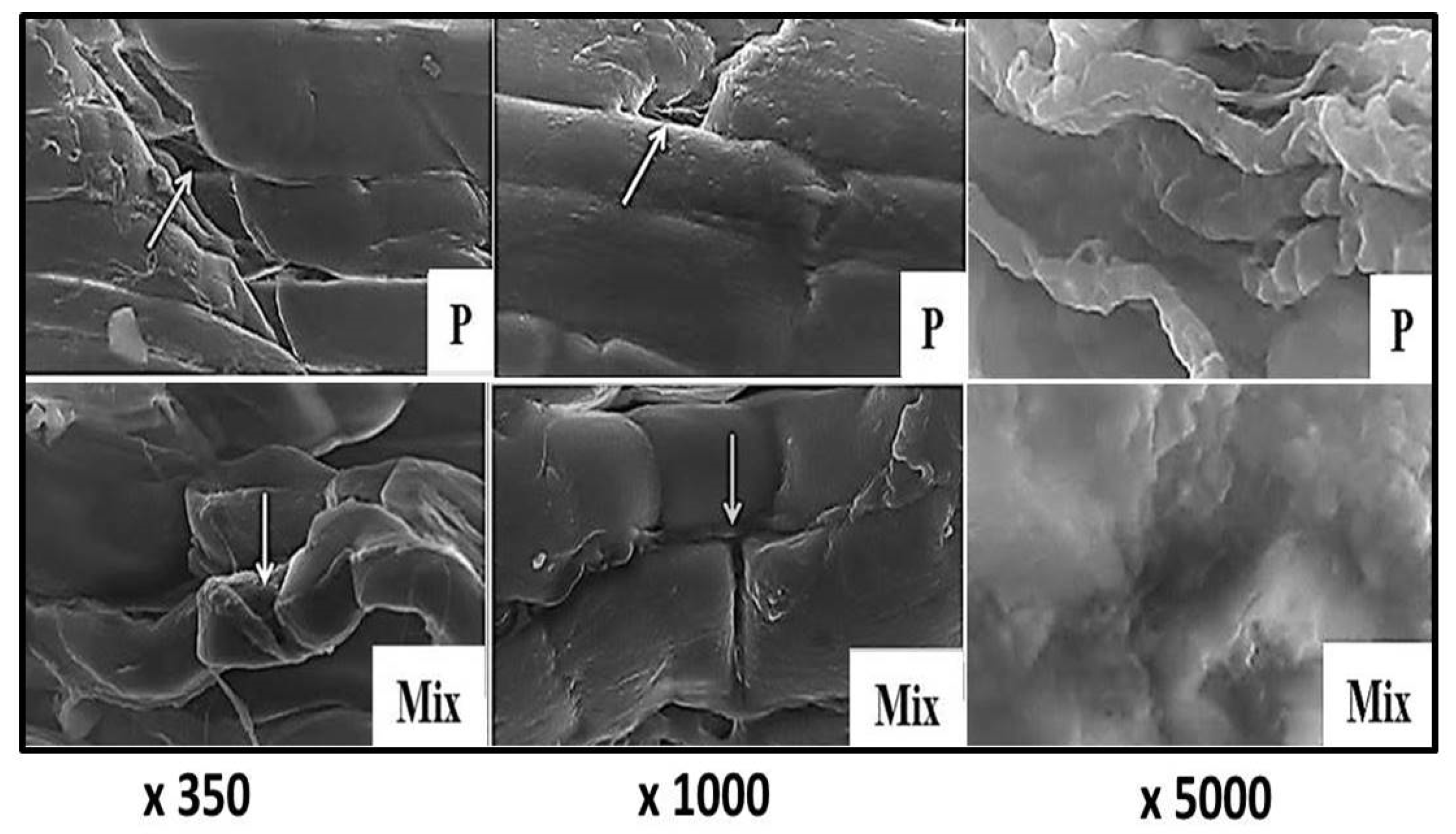Foods 11 01876 g006 550