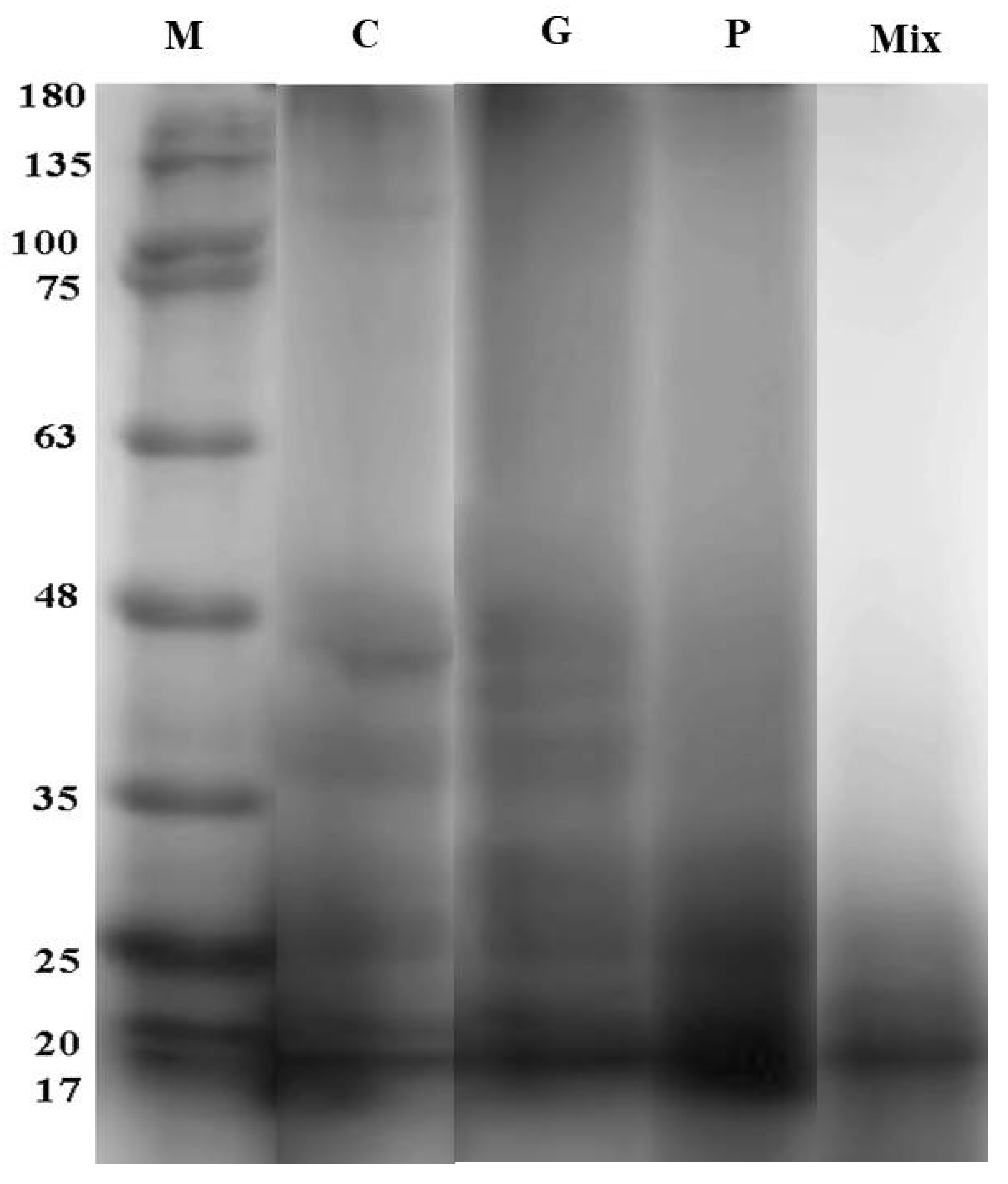 Foods 11 01876 g007 550