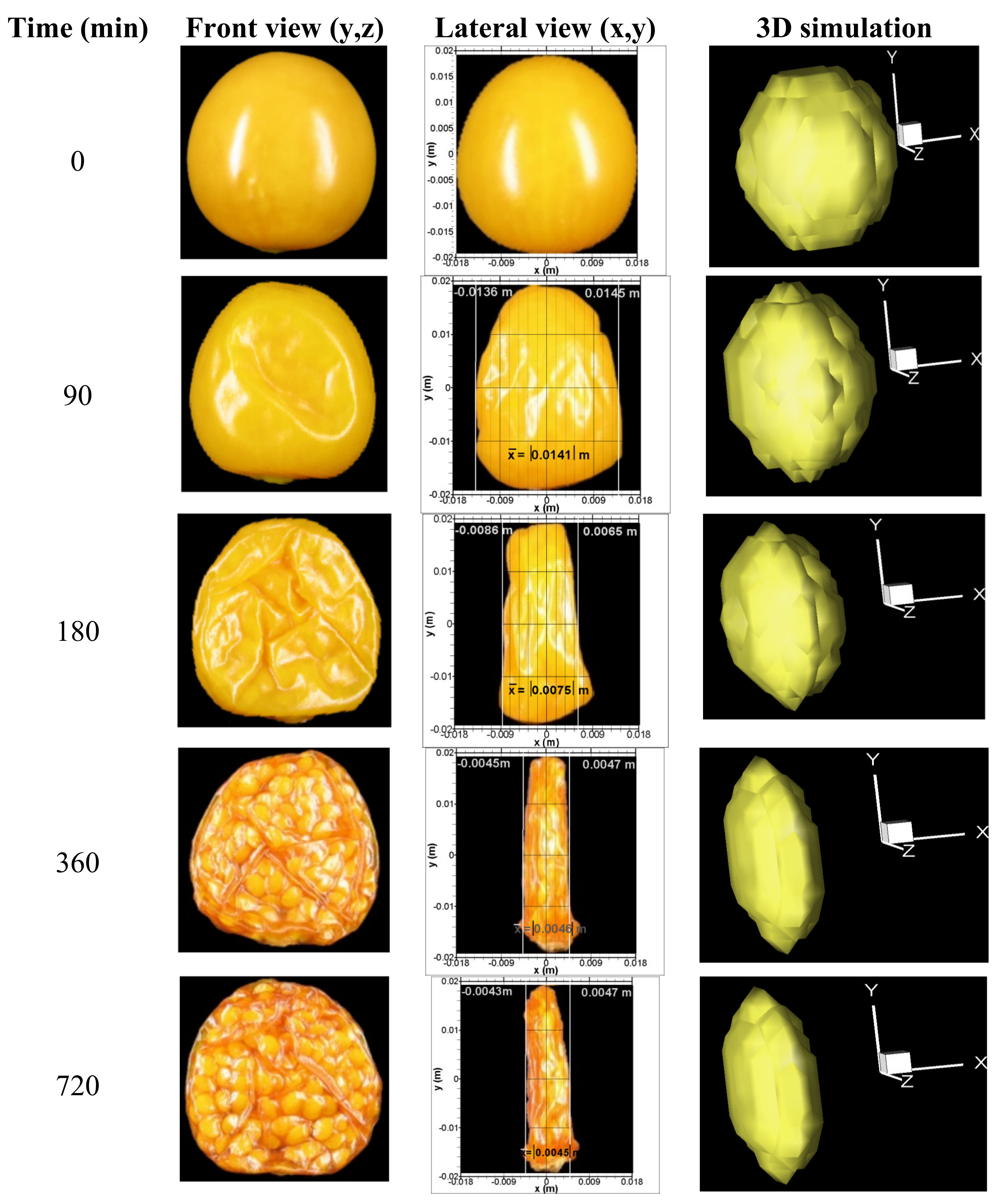Foods 11 01880 g003 550
