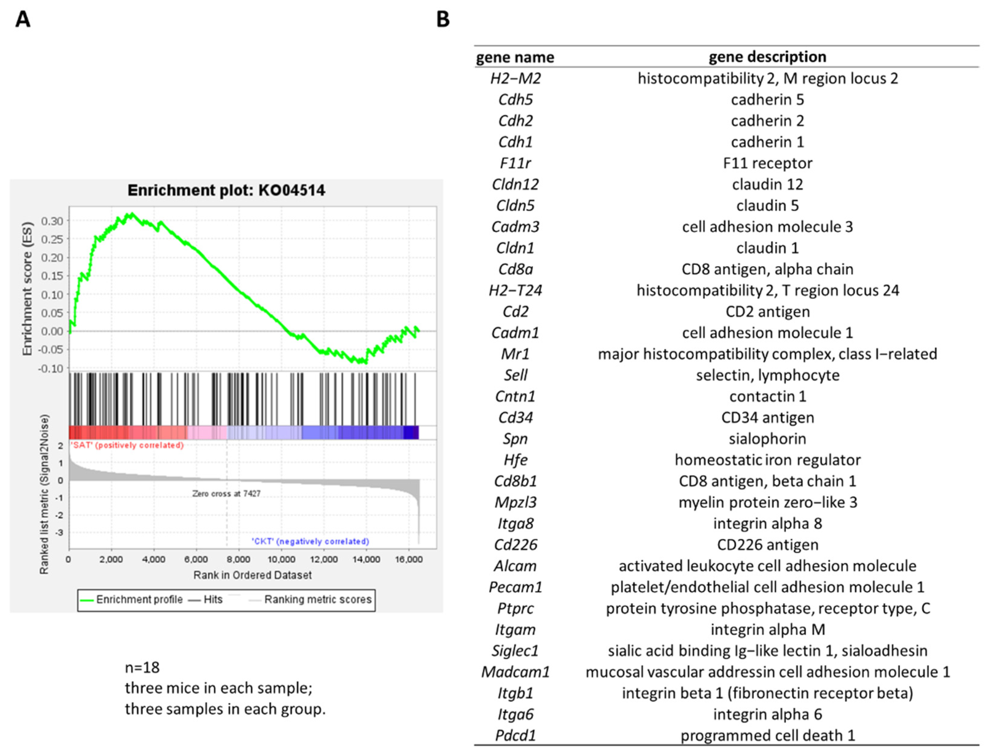 Foods 11 01882 g005 550