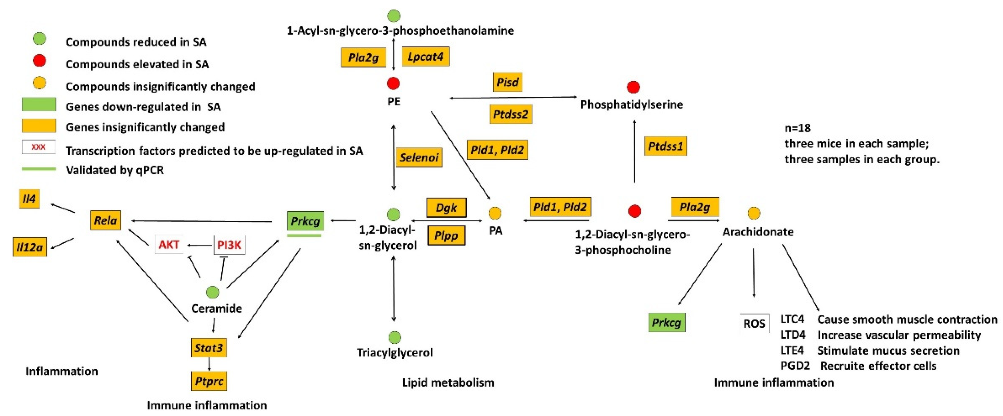Foods 11 01882 g007 550