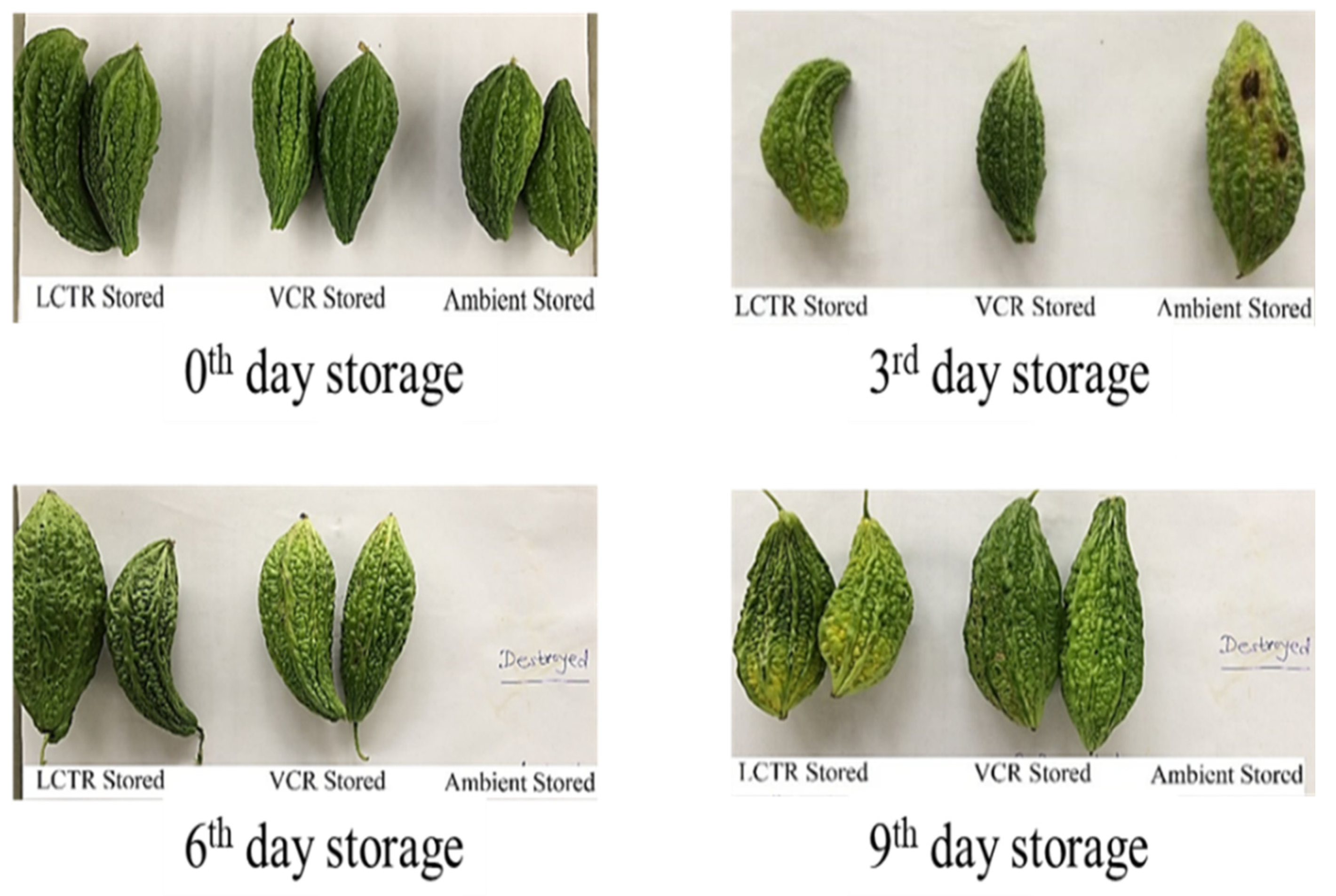 Foods 11 01896 g006 550