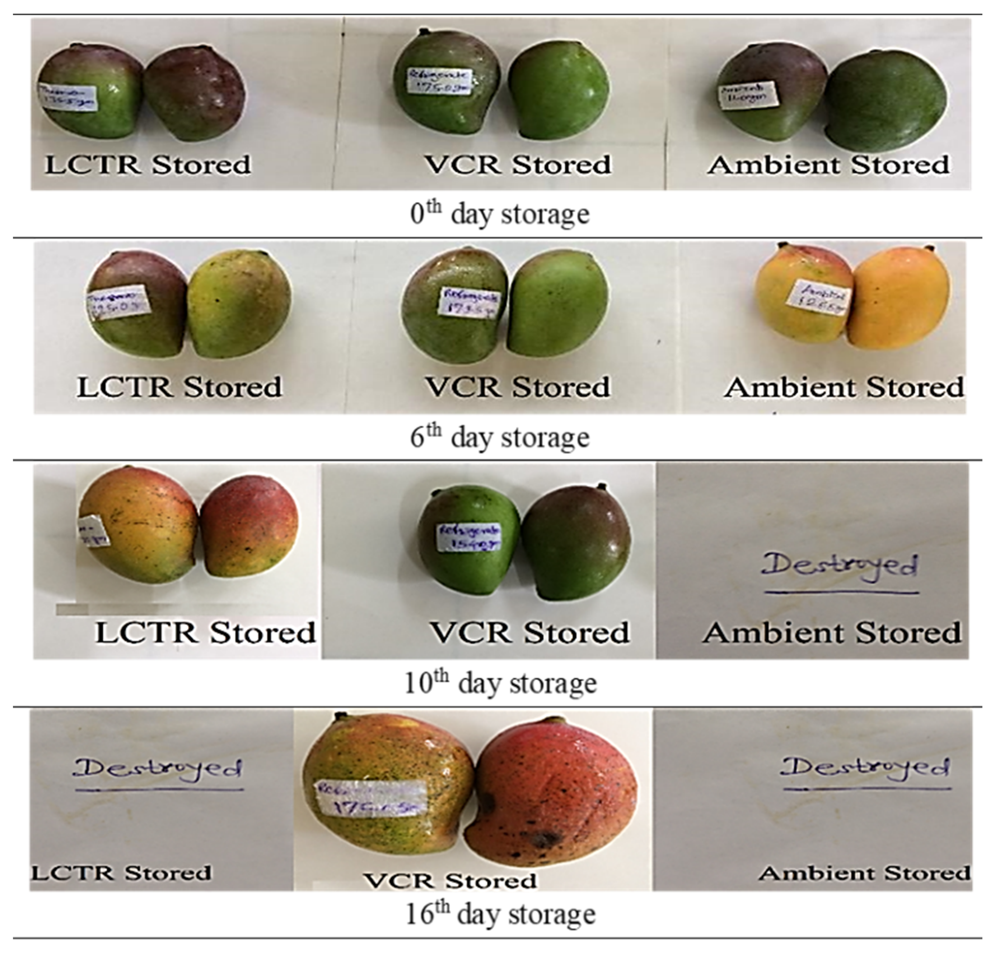 Foods 11 01896 g008 550