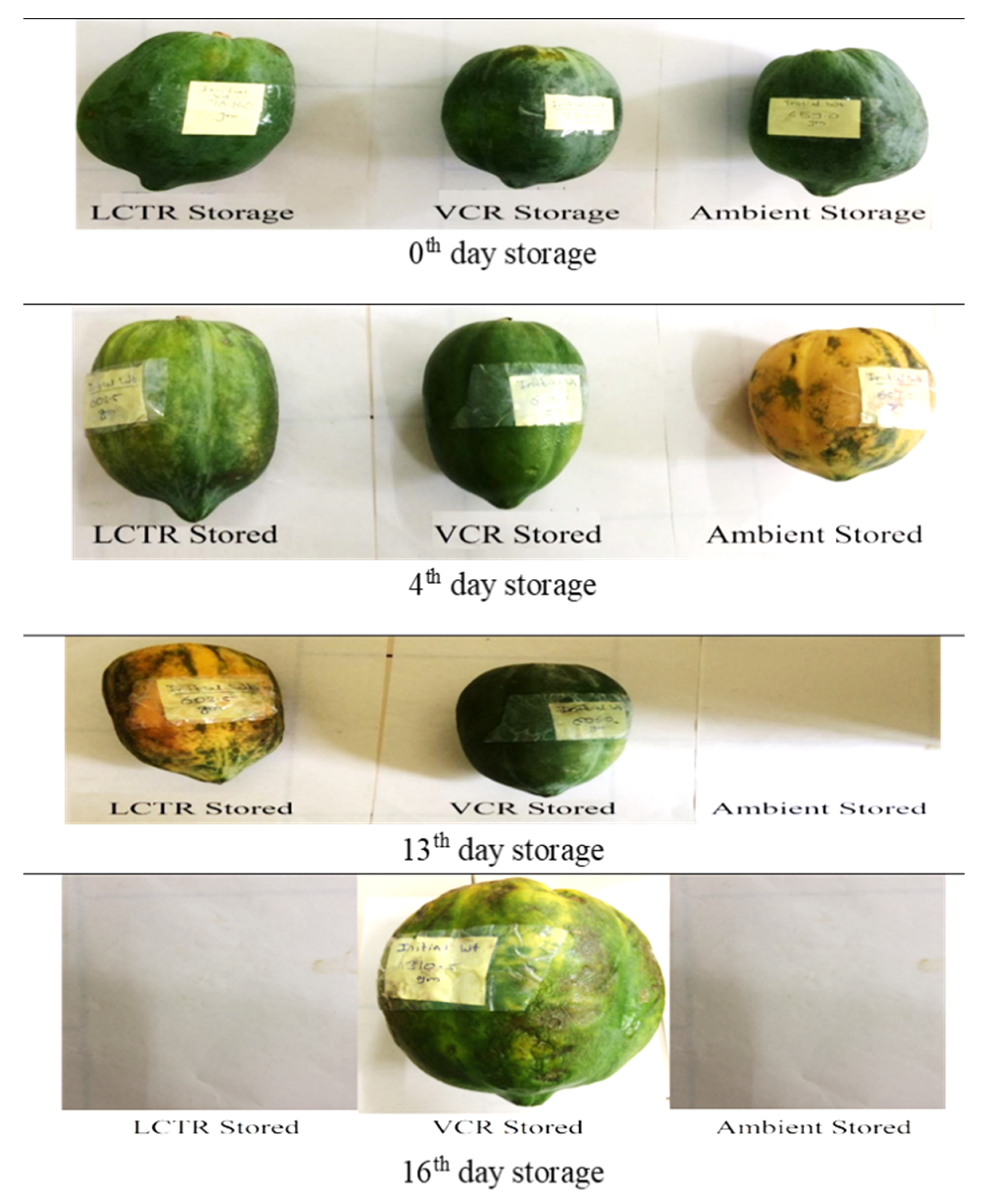 Foods 11 01896 g009 550