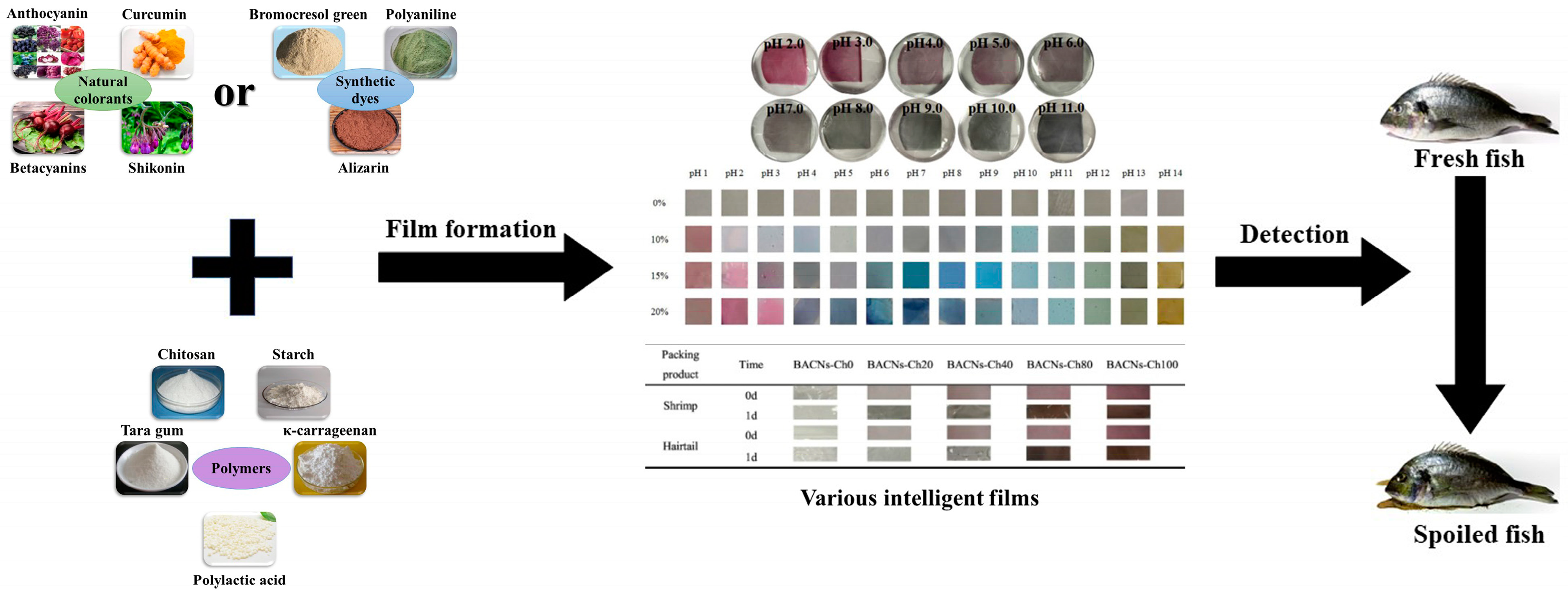 Foods 11 01897 g002 550