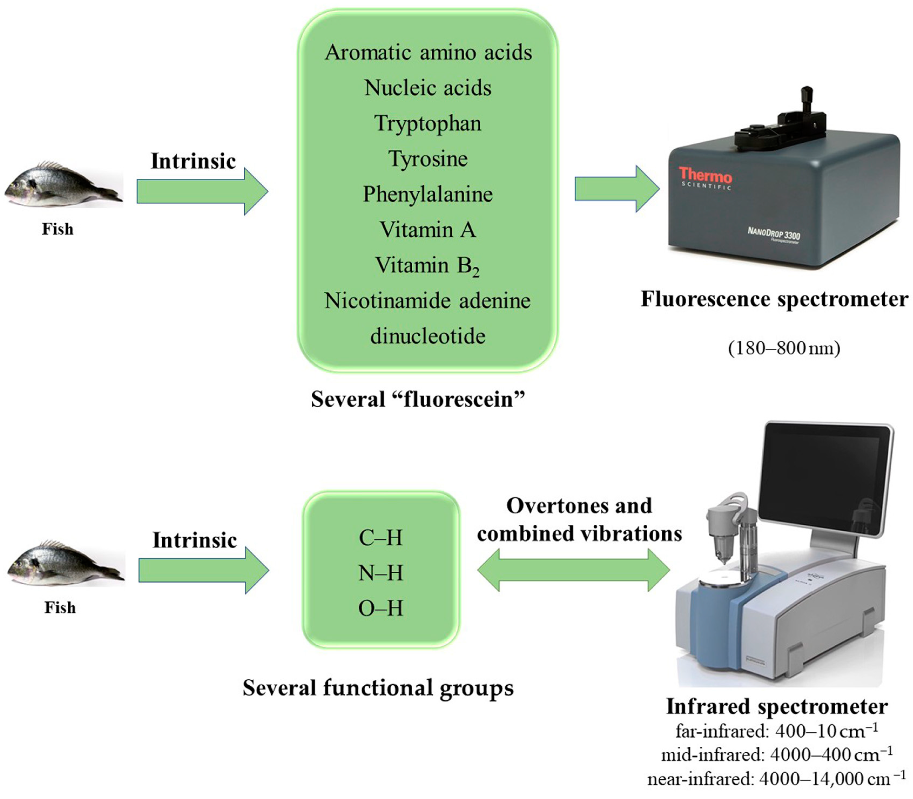 Foods 11 01897 g003 550