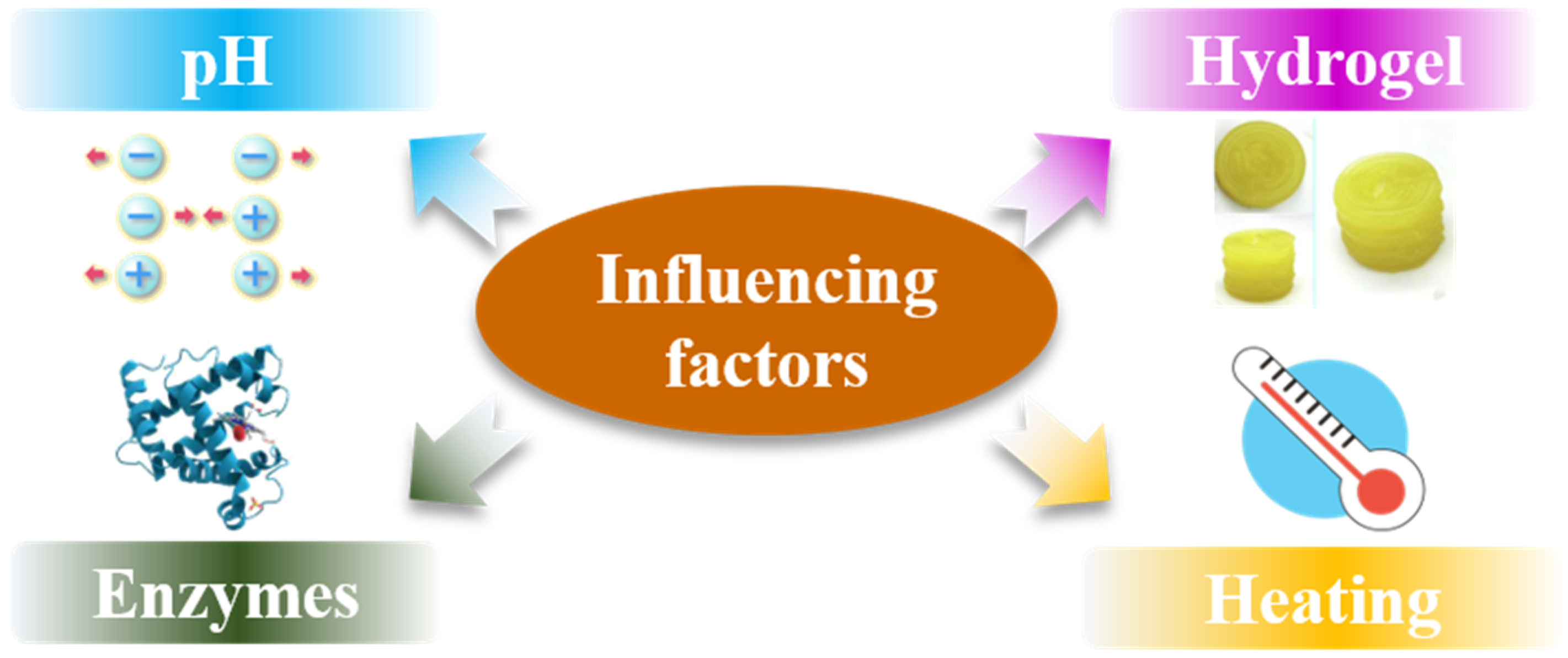 Foods 11 01902 g003 550