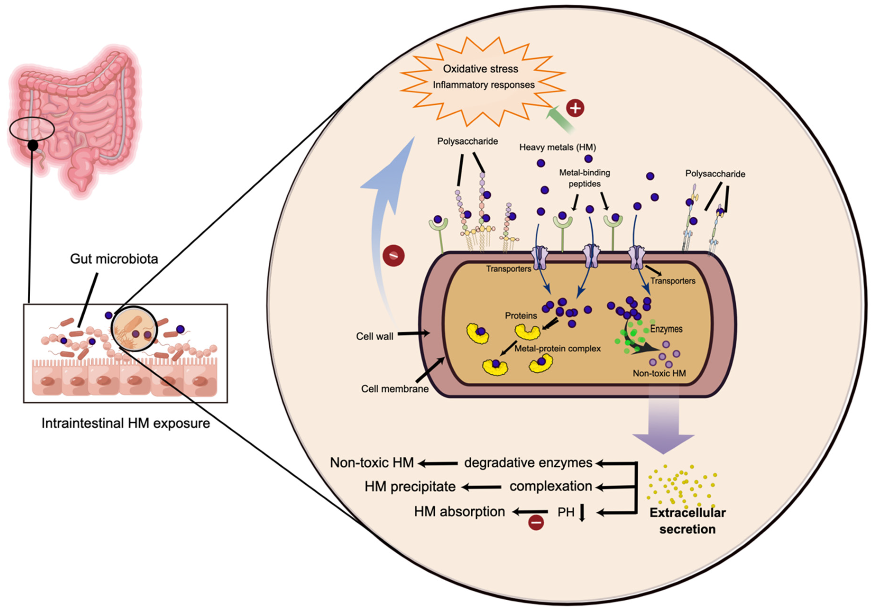 Foods 11 01905 g001 Foods 11 01905 g001