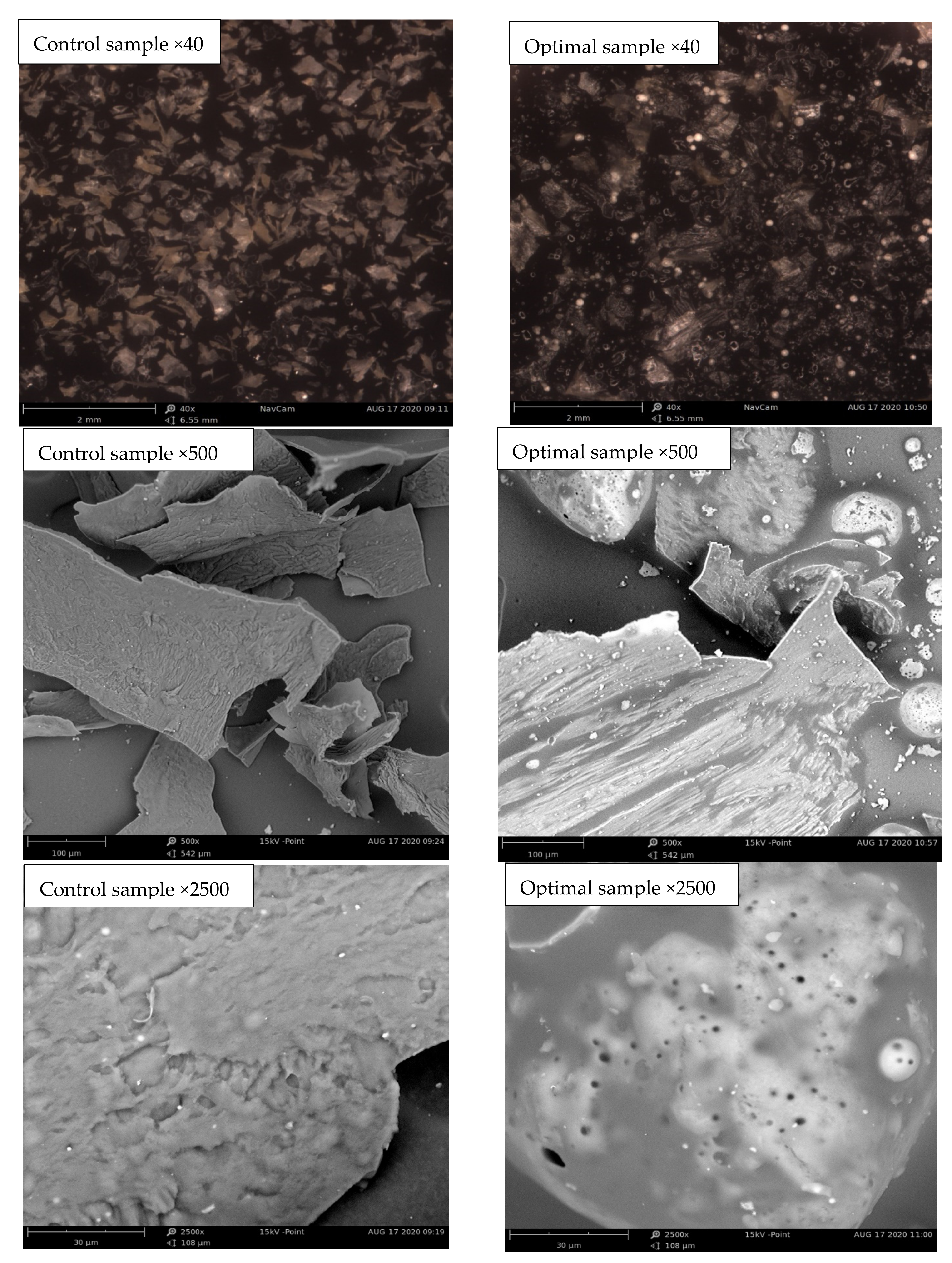 Foods 11 01909 g007 550