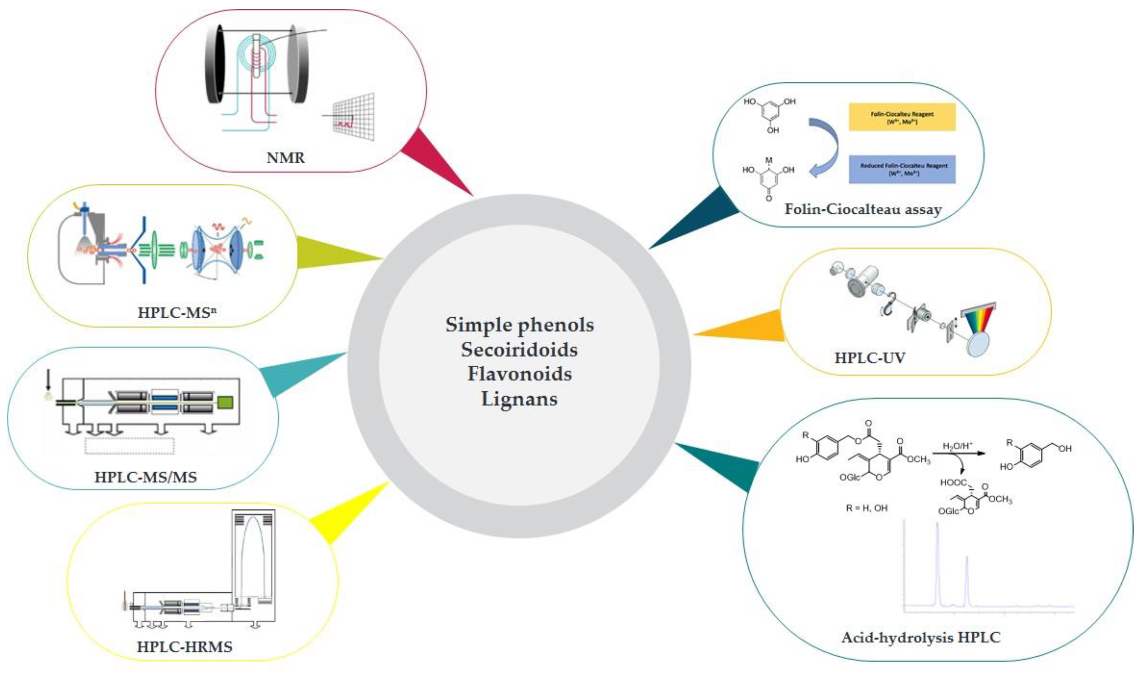 Foods 11 01915 g005 550