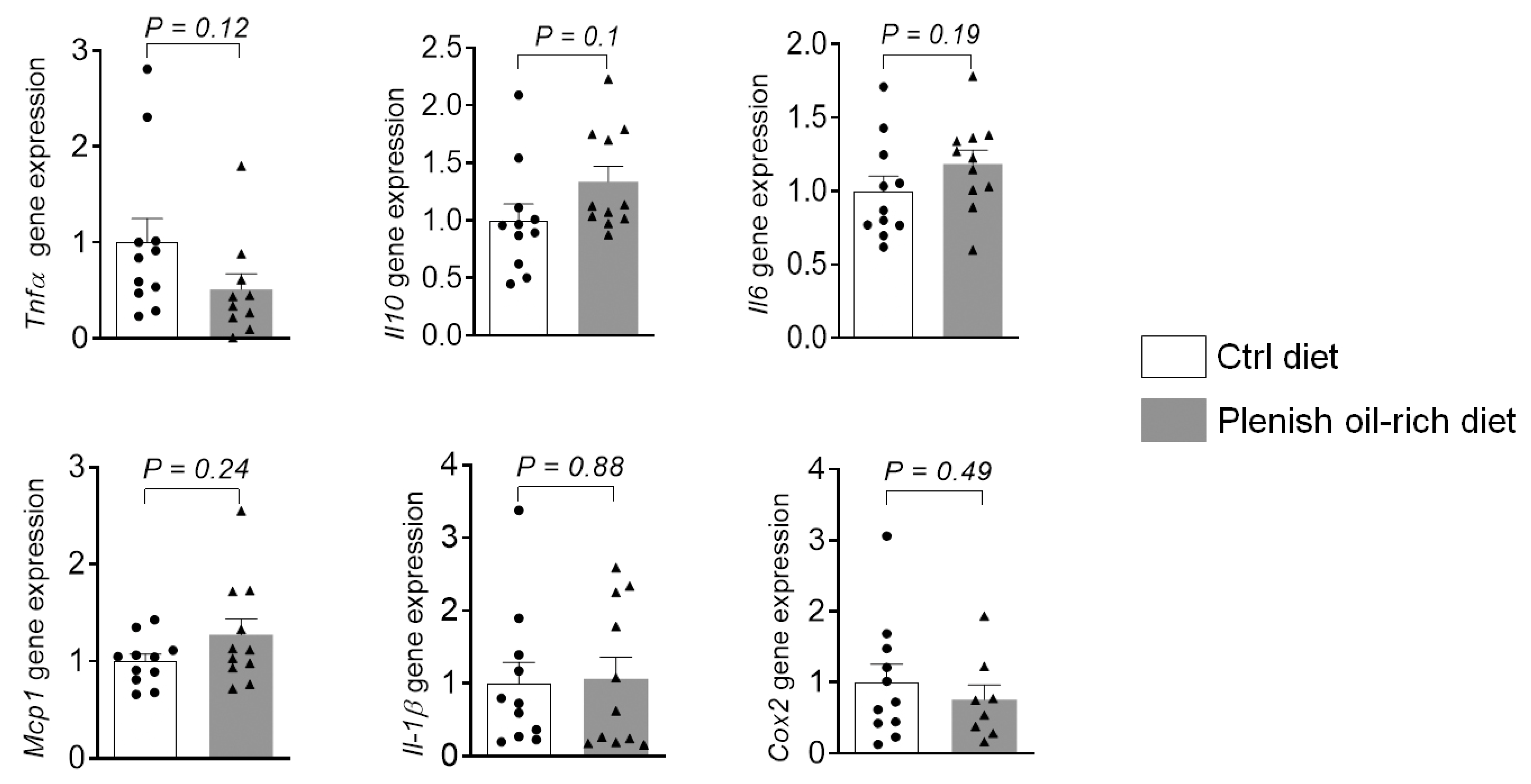 Foods 11 01937 g003 550