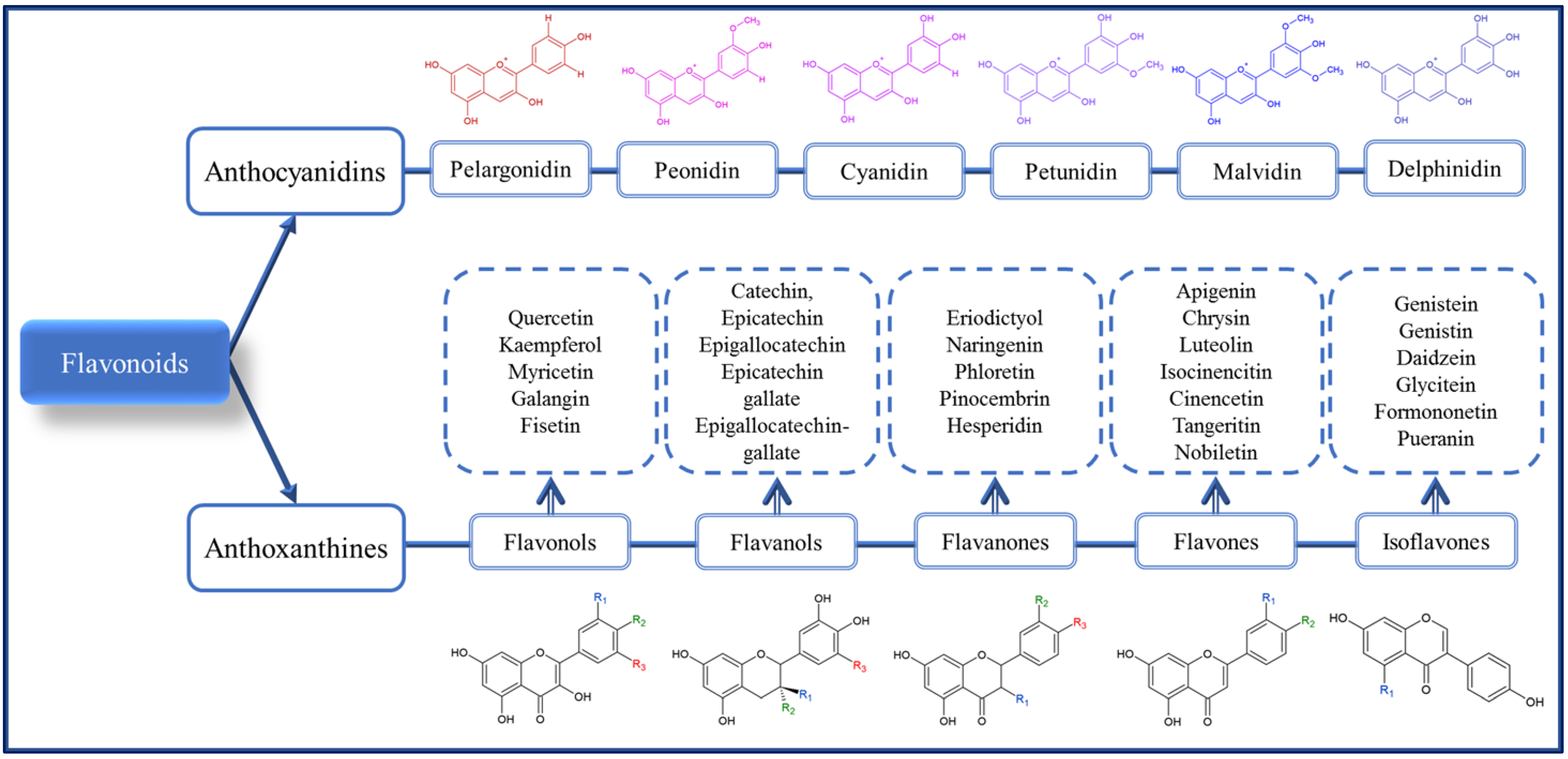 Foods 11 01957 g002 550