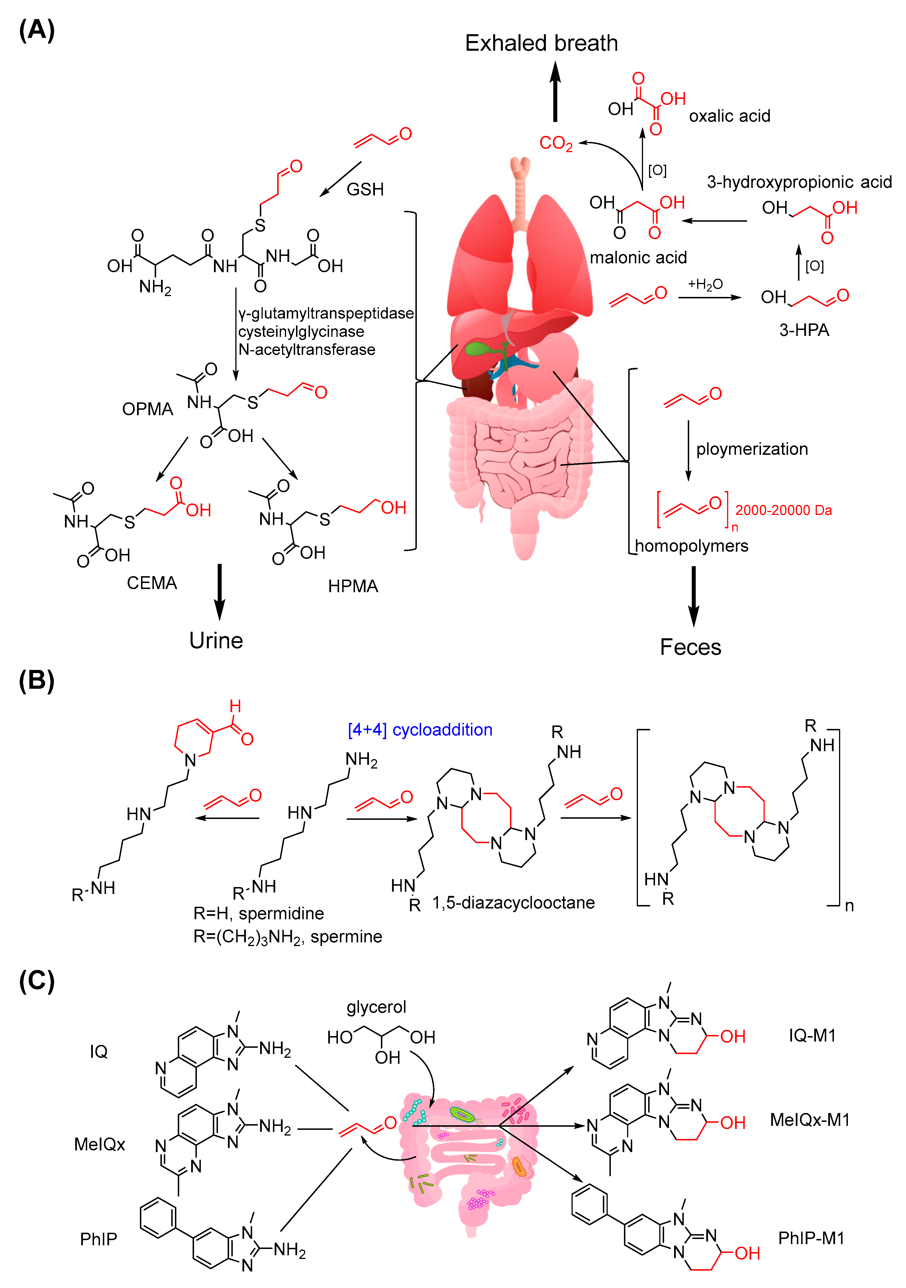 Foods 11 01976 g008 Foods 11 01976 g008