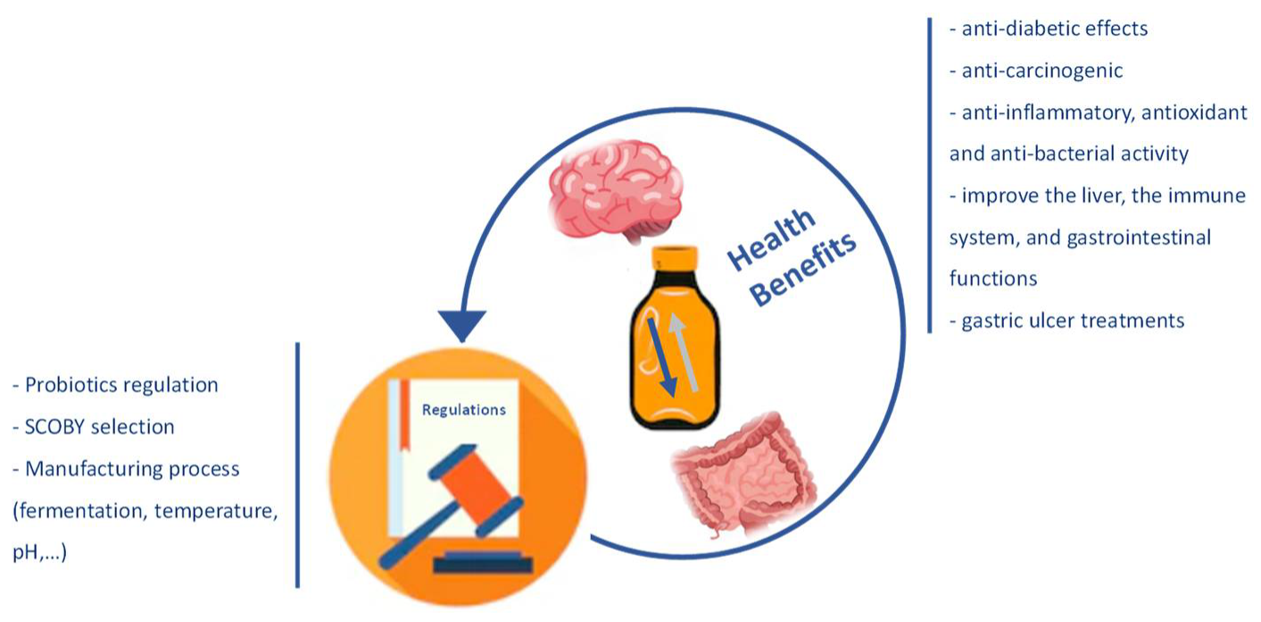 Foods 11 01977 g001 550