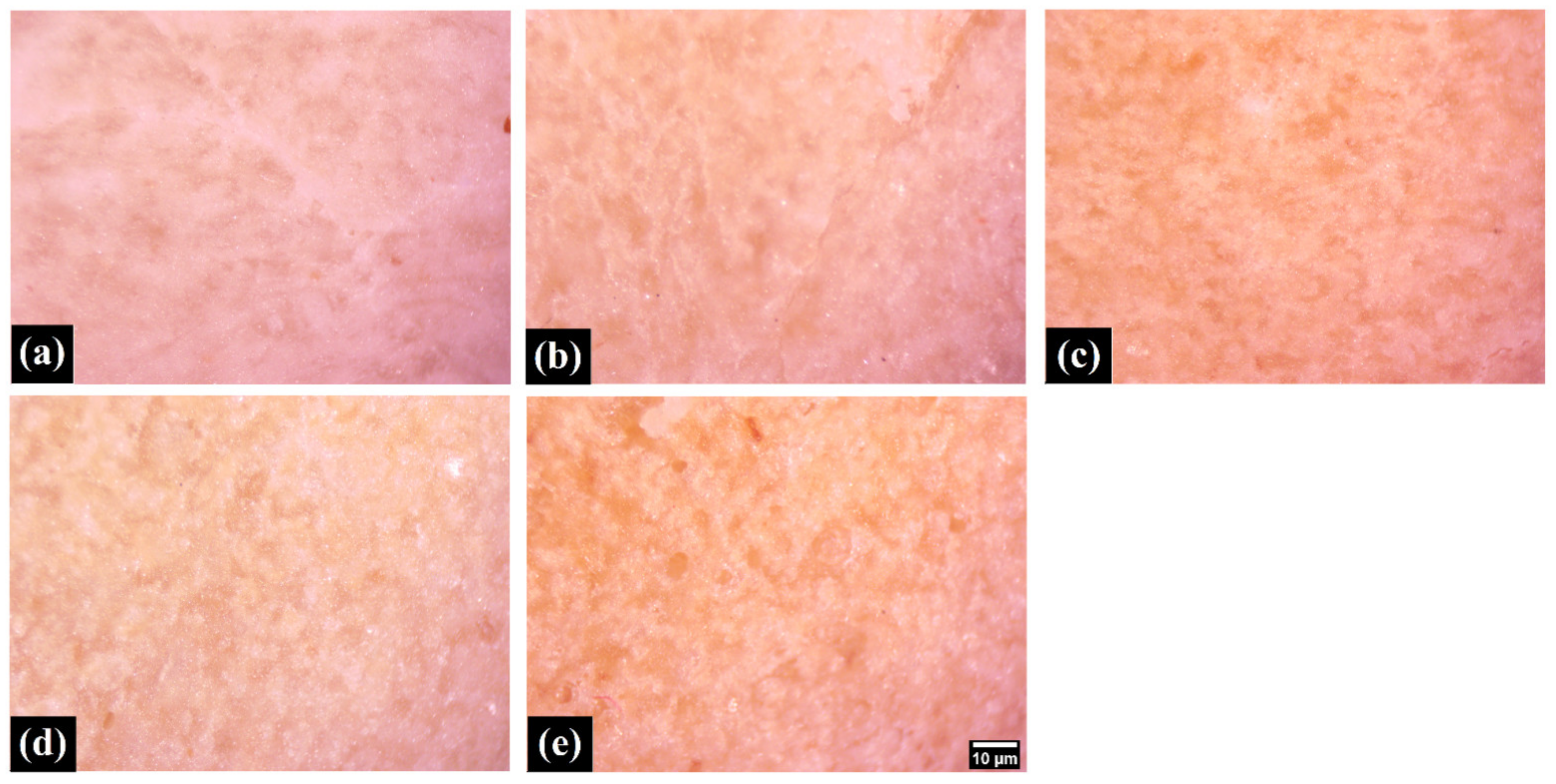 Foods 11 01979 g004 Foods 11 01979 g004