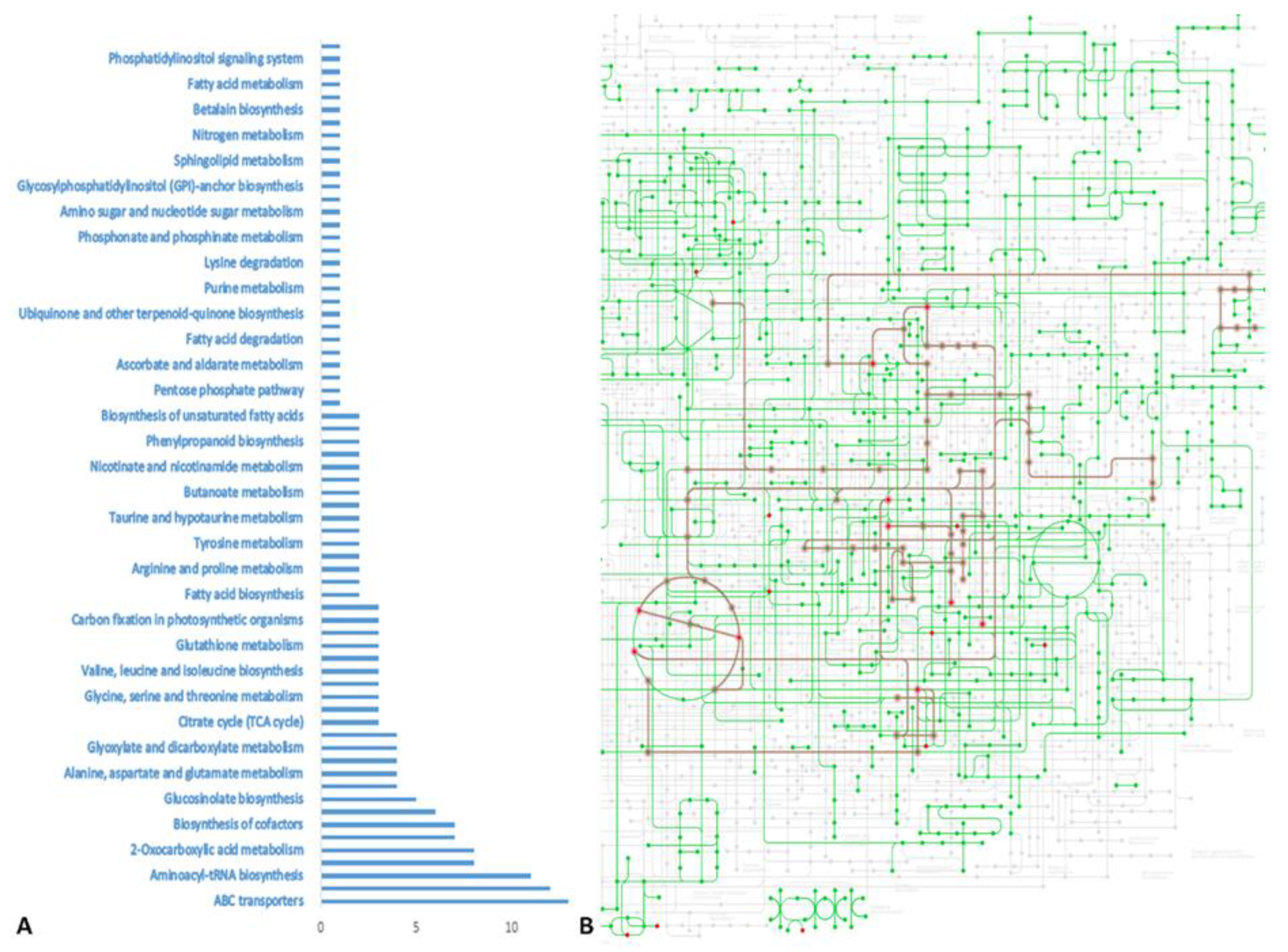 Foods 11 01981 g001 Foods 11 01981 g001