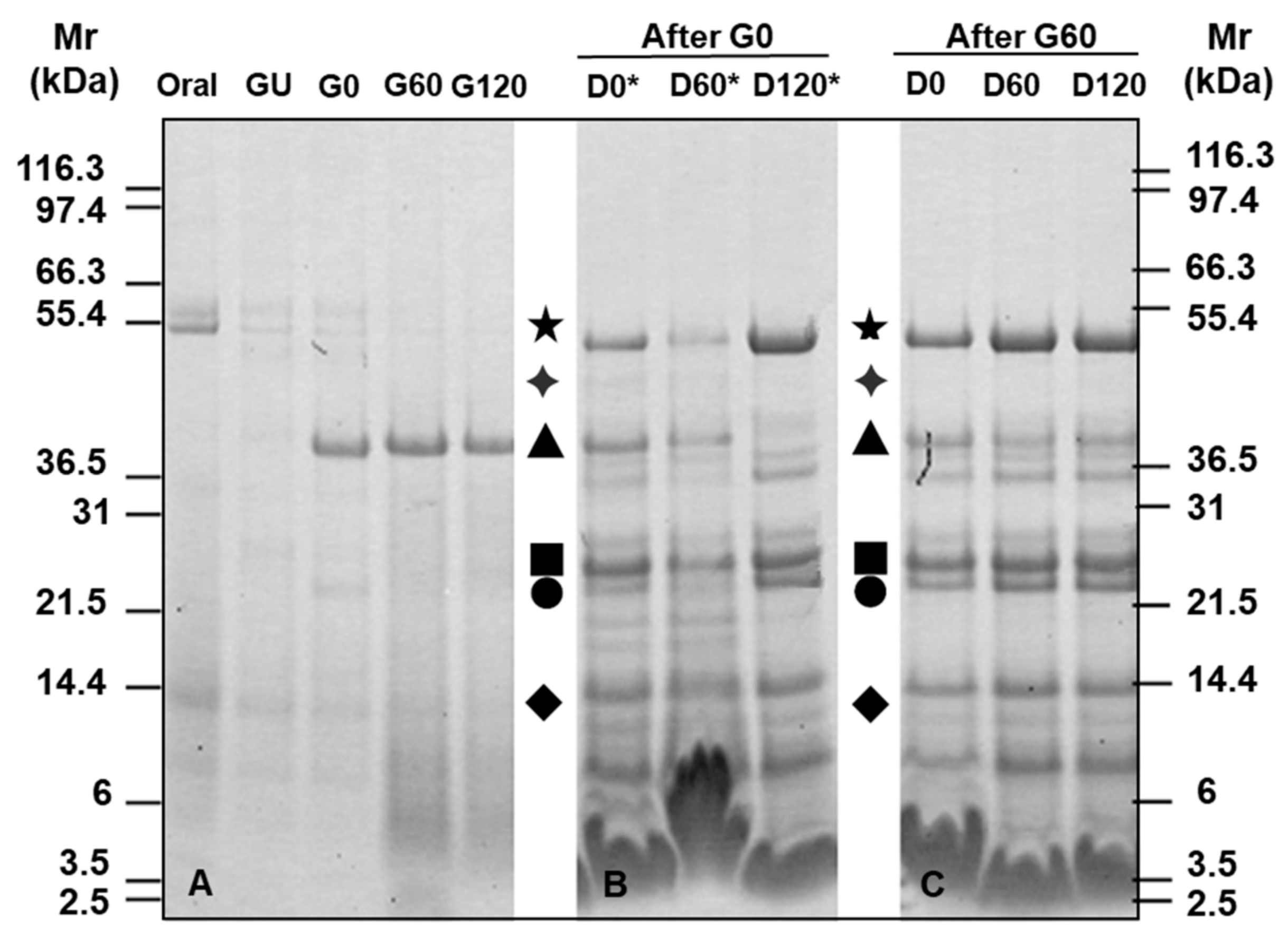 Foods 11 02000 g002 550
