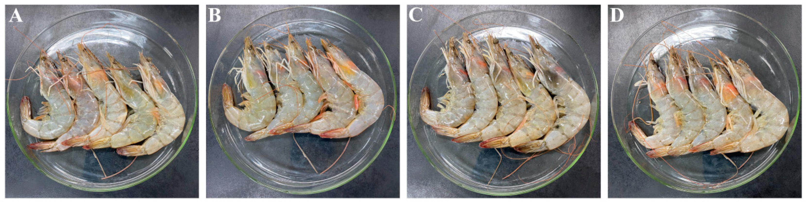 Foods 11 02008 g001 550