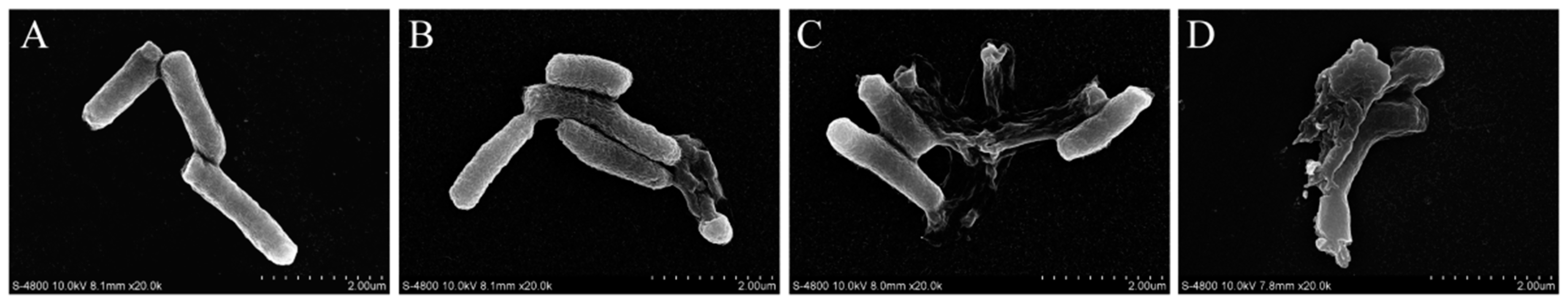 Foods 11 02008 g002 550