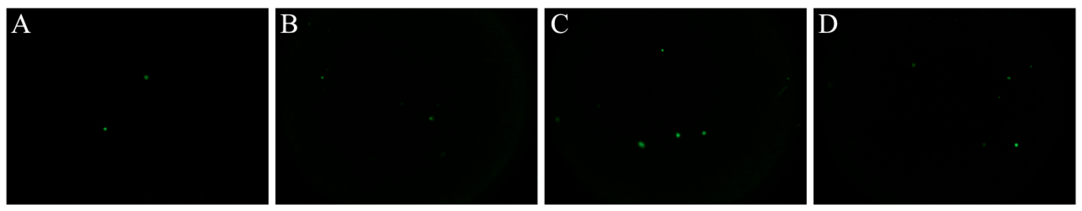 Foods 11 02008 g004 550
