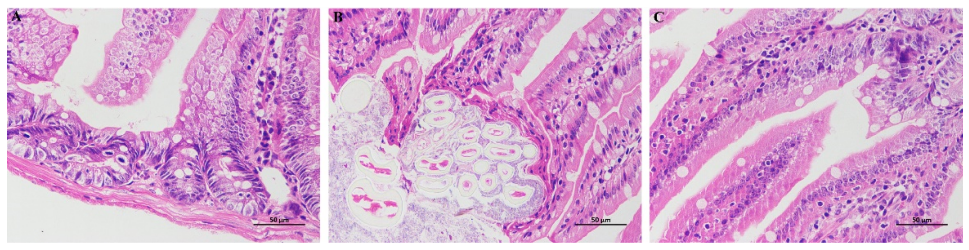 Foods 11 02040 g006 550