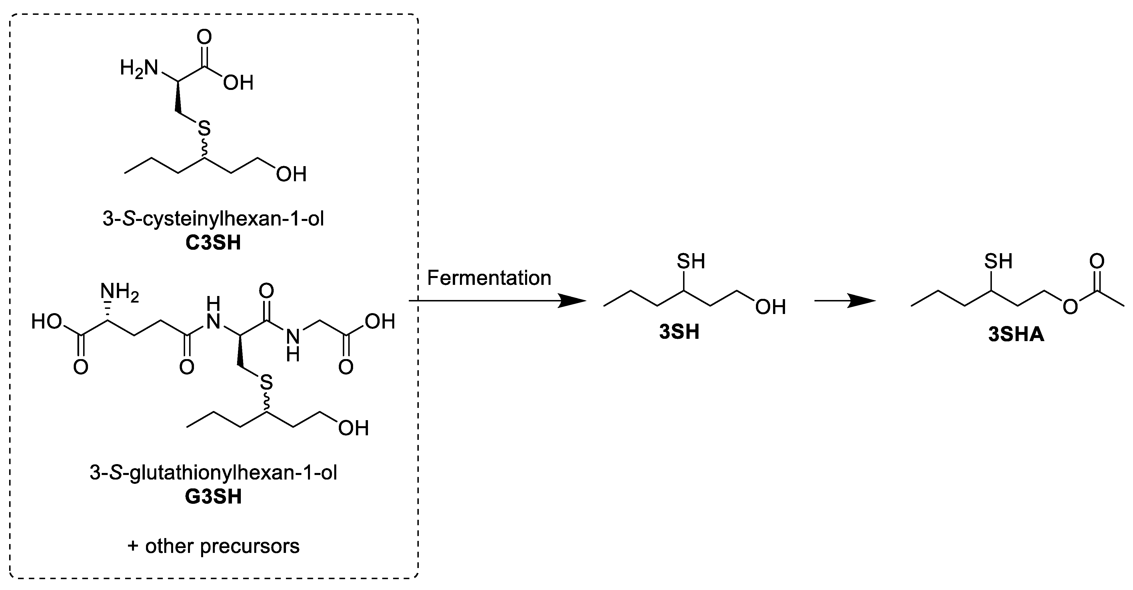 Foods 11 02050 g002 Foods 11 02050 g002