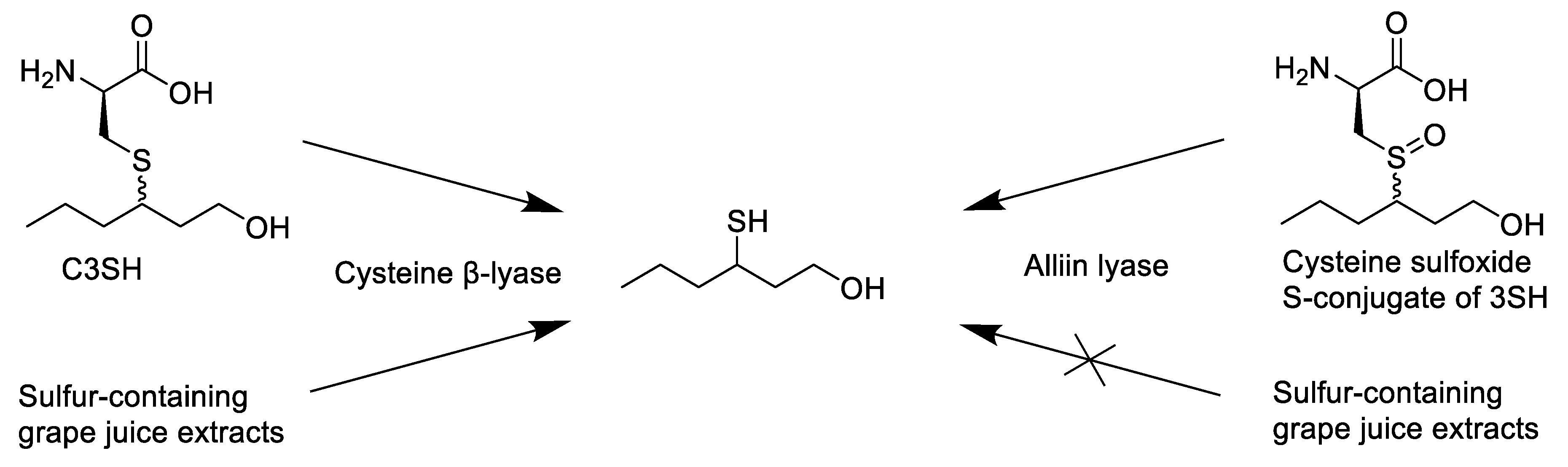 Foods 11 02050 sch001 Foods 11 02050 sch001